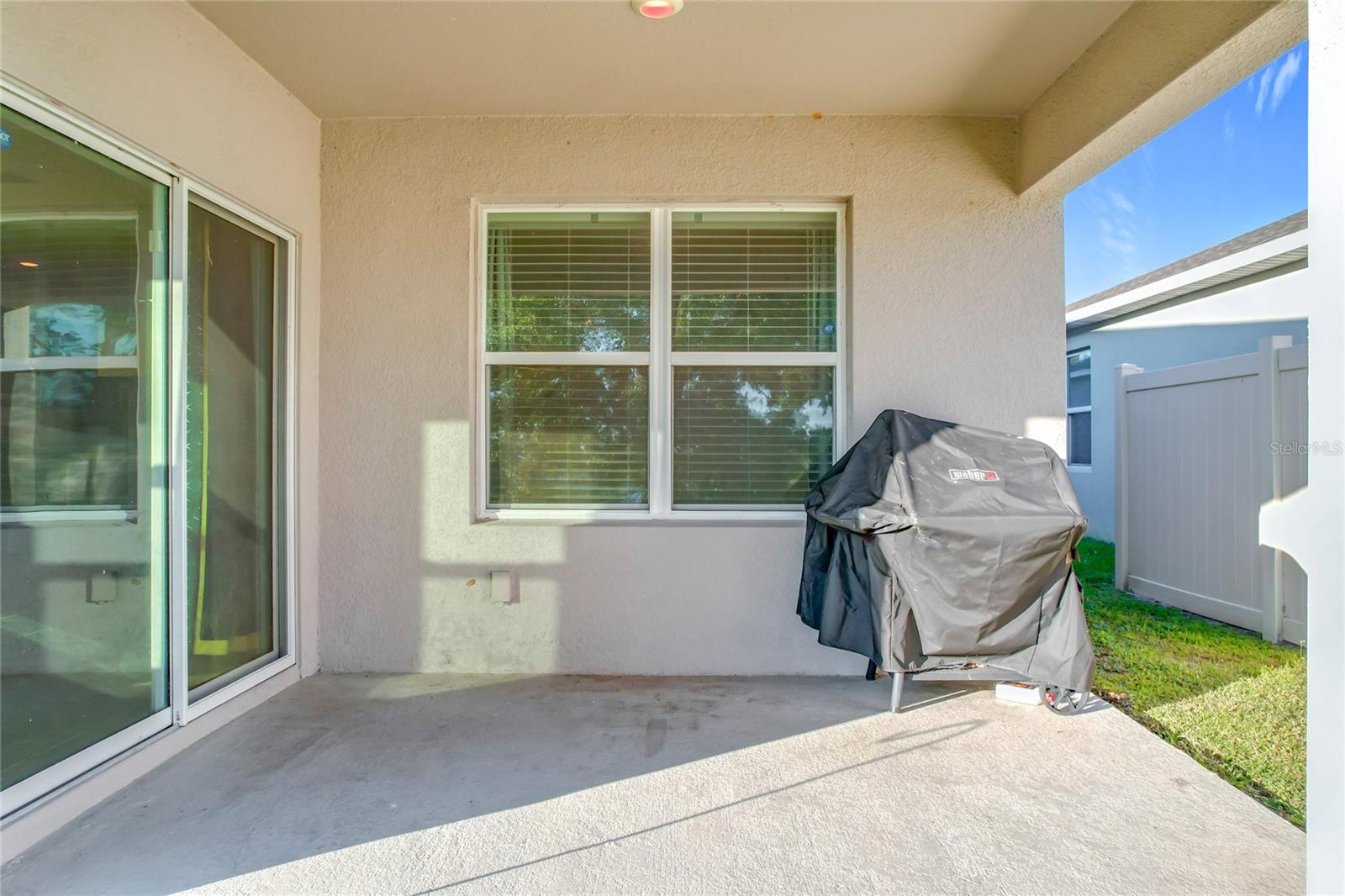 3290 LOGAN BERRY DR, MOUNT DORA, FL, 32757