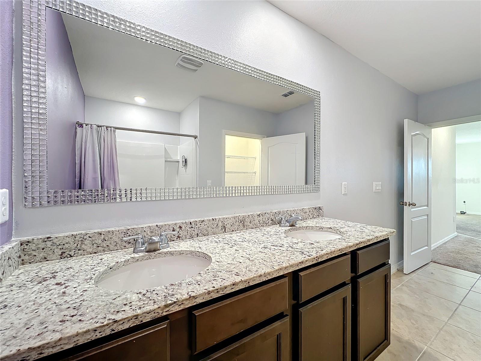 3290 LOGAN BERRY DR, MOUNT DORA, FL, 32757