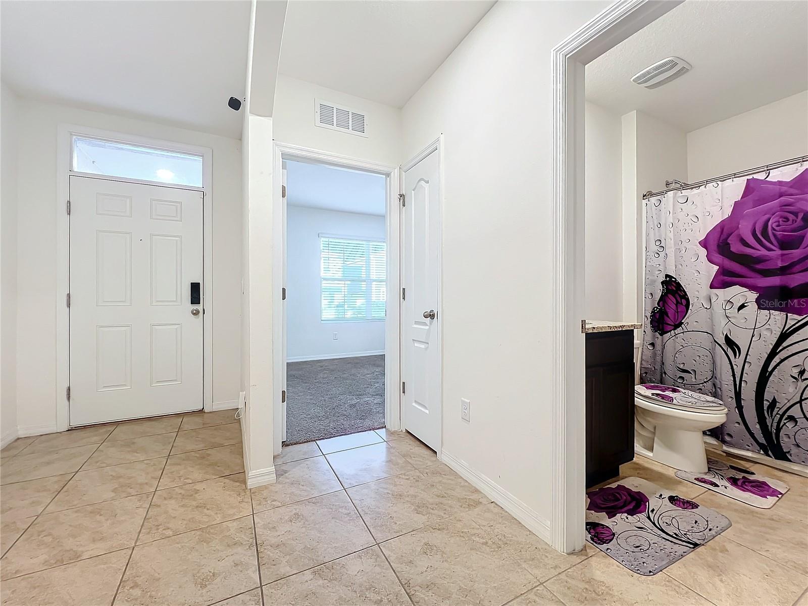 3290 LOGAN BERRY DR, MOUNT DORA, FL, 32757