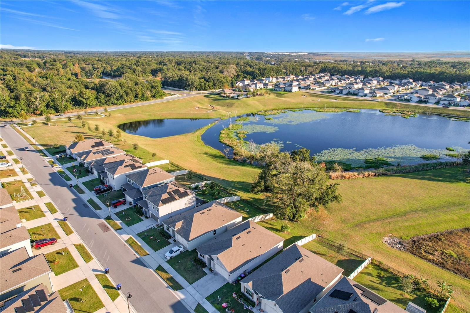 3290 LOGAN BERRY DR, MOUNT DORA, FL, 32757
