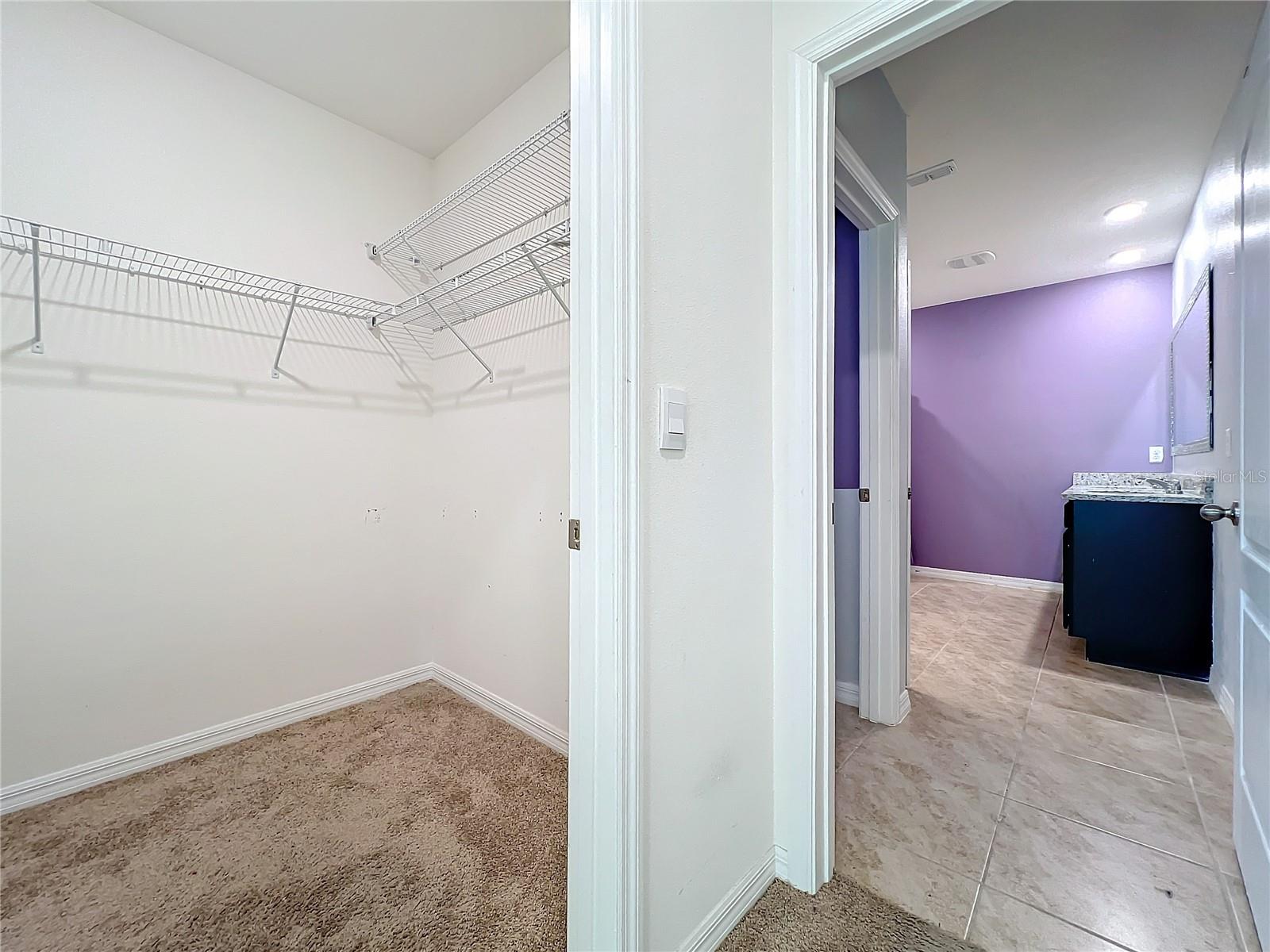 3290 LOGAN BERRY DR, MOUNT DORA, FL, 32757