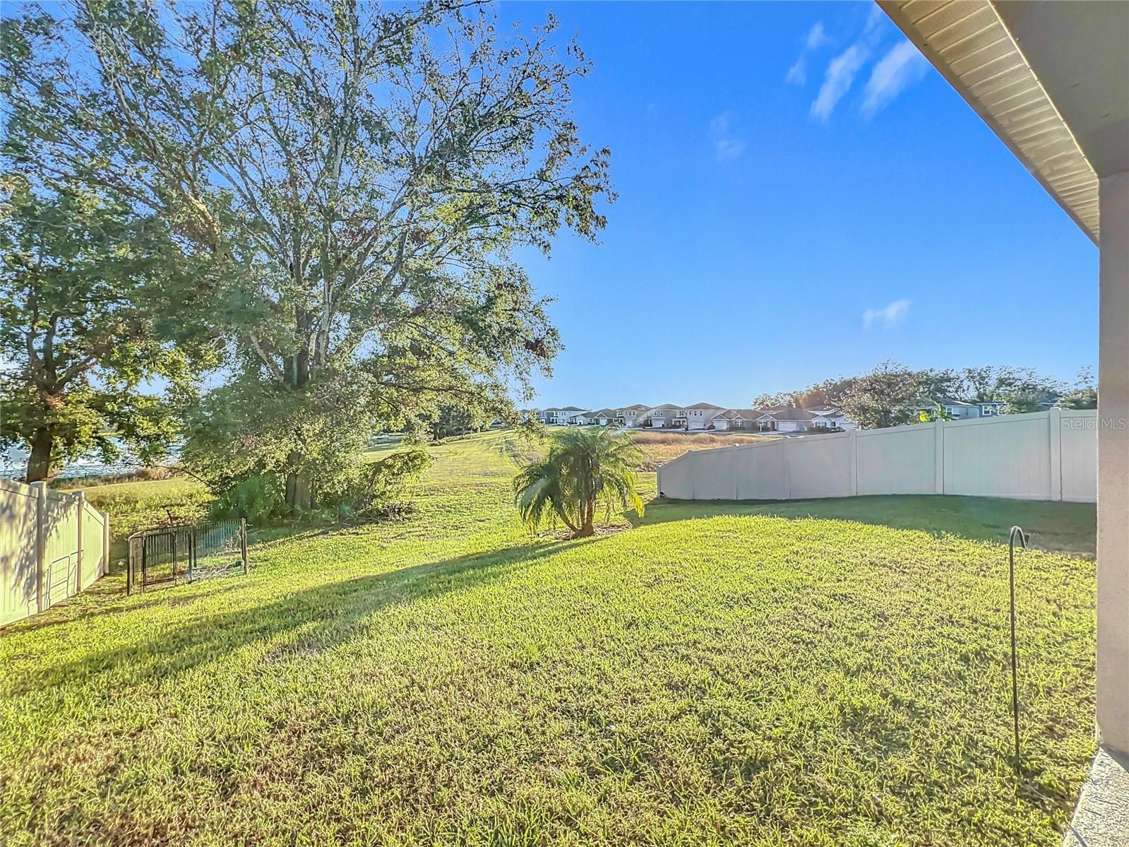 3290 LOGAN BERRY DR, MOUNT DORA, FL, 32757