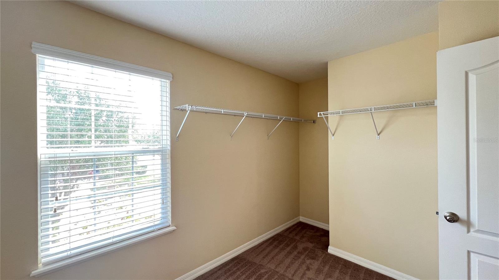 16027 YELLOWEYED DR, CLERMONT, FL, 34714