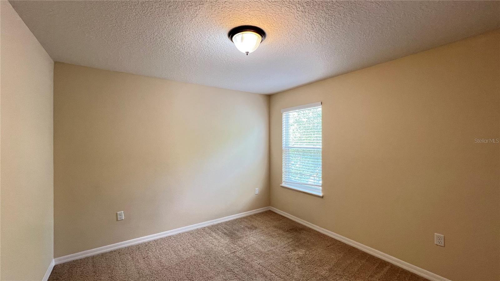 16027 YELLOWEYED DR, CLERMONT, FL, 34714