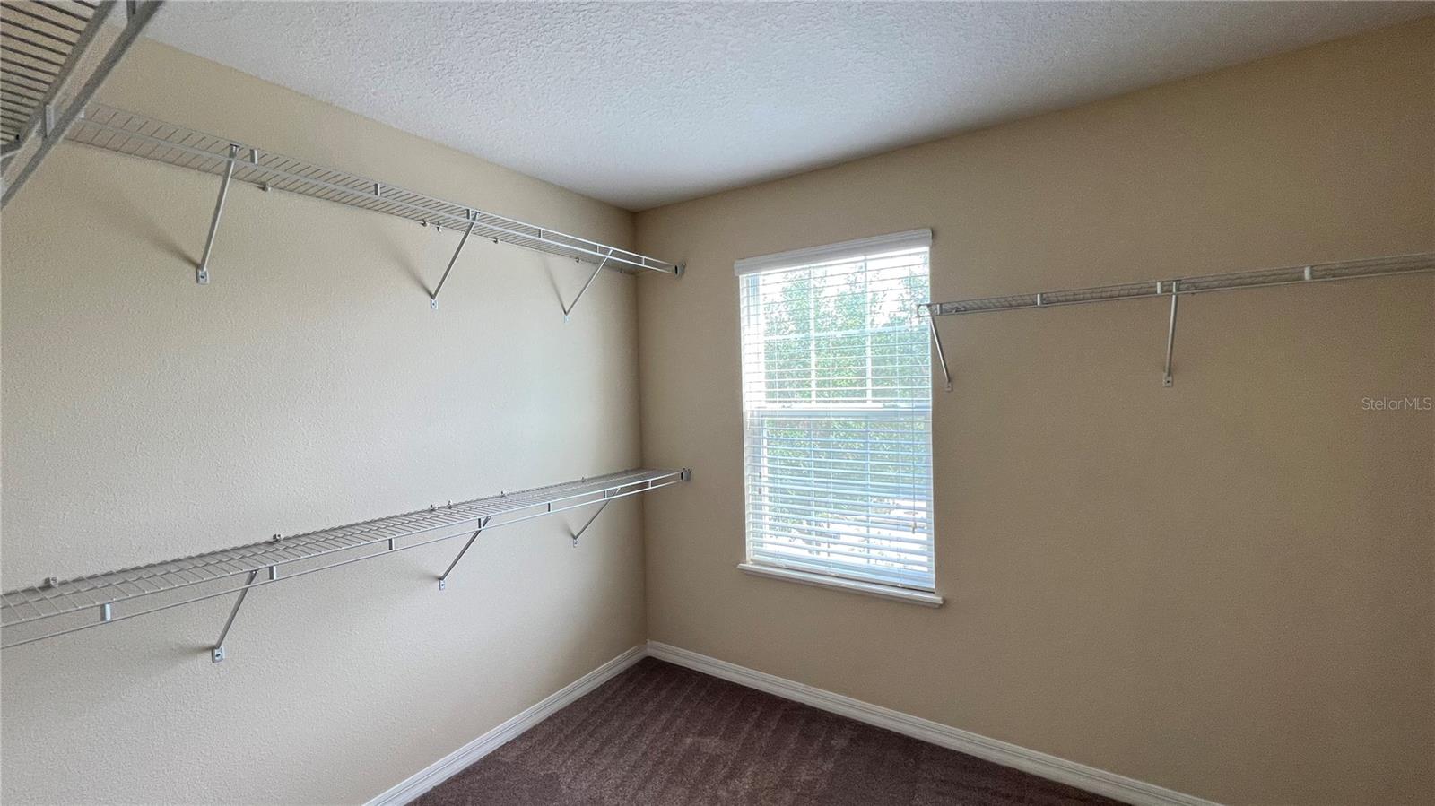 16027 YELLOWEYED DR, CLERMONT, FL, 34714