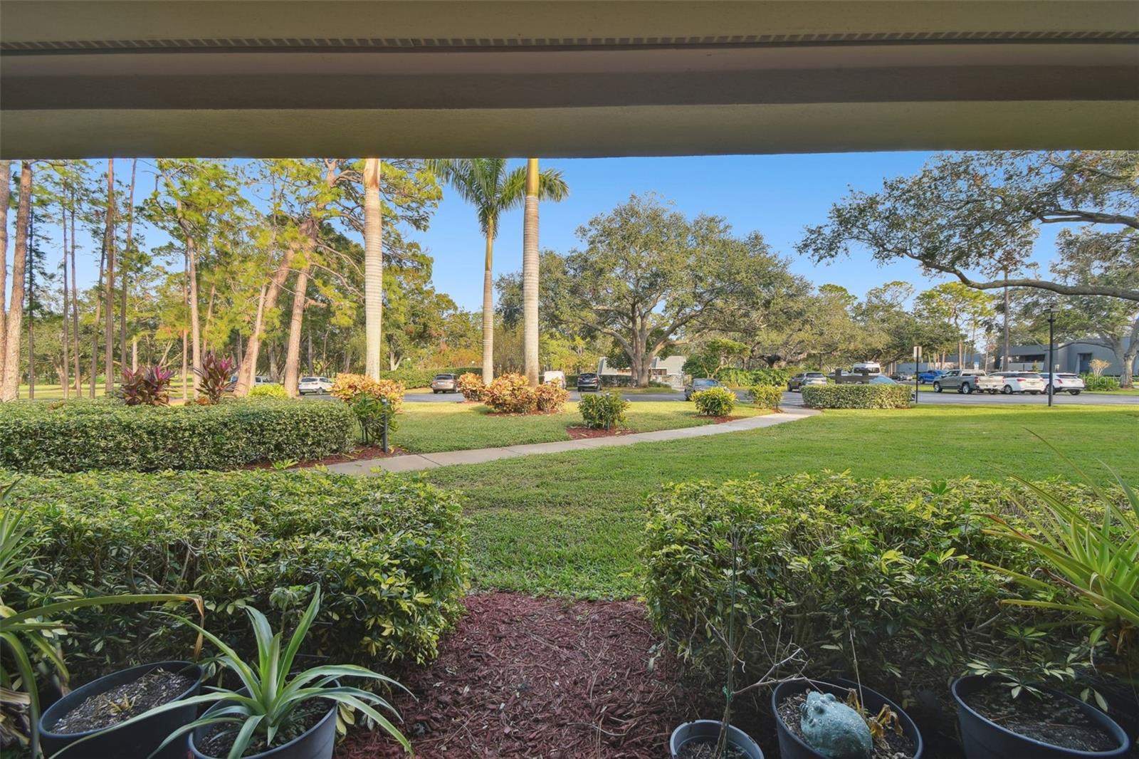 36750 US HIGHWAY 19 N #01104, PALM HARBOR, FL, 34684