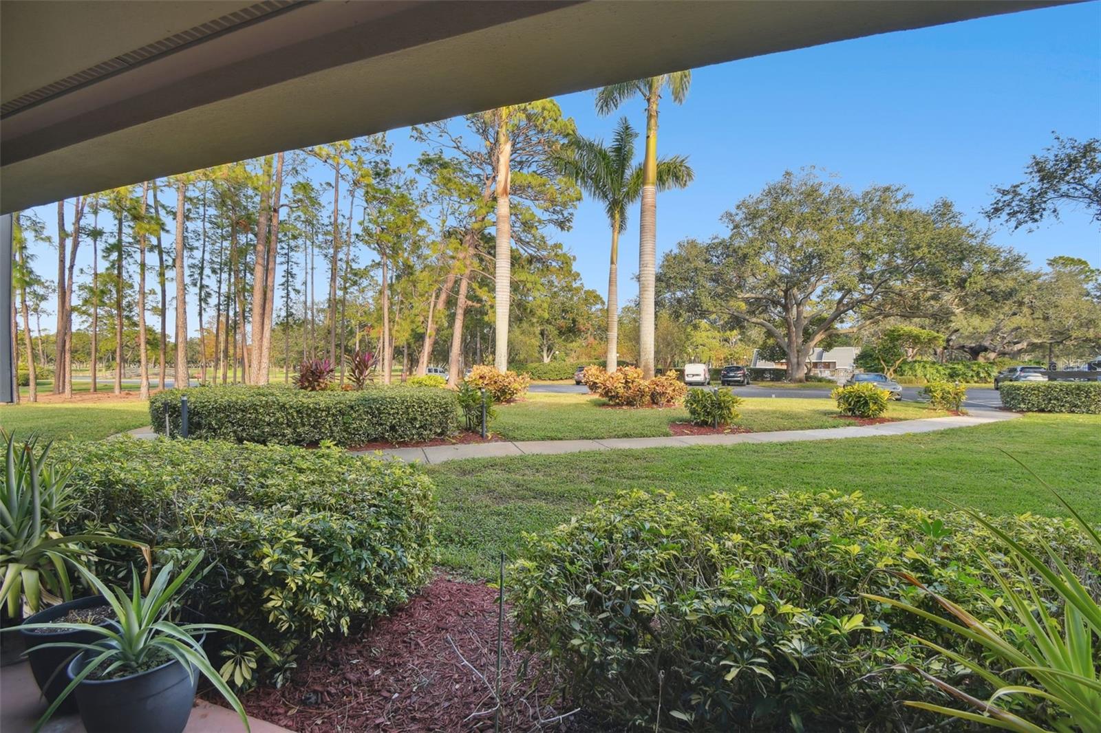 36750 US HIGHWAY 19 N #01104, PALM HARBOR, FL, 34684