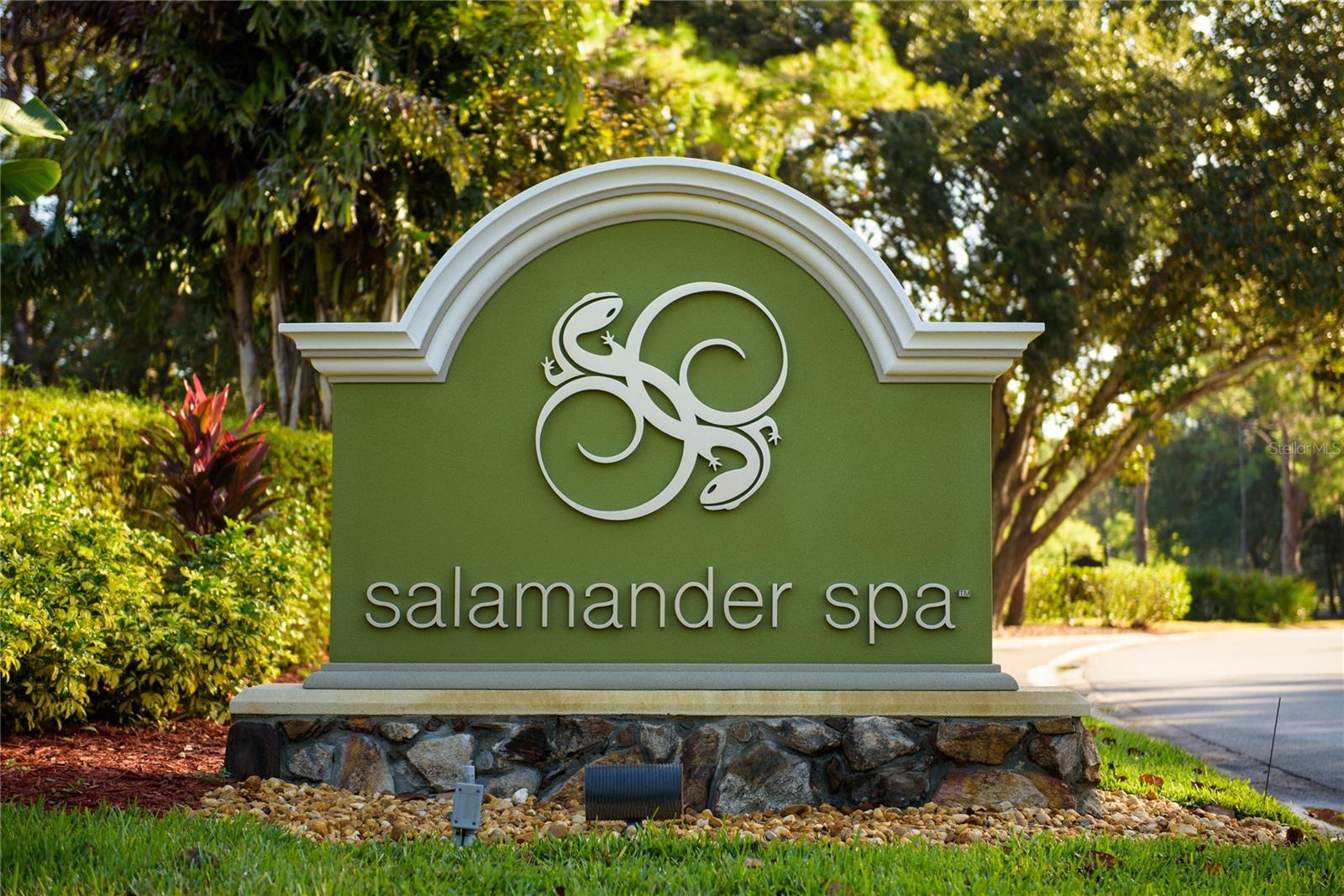 36750 US HIGHWAY 19 N #01104, PALM HARBOR, FL, 34684