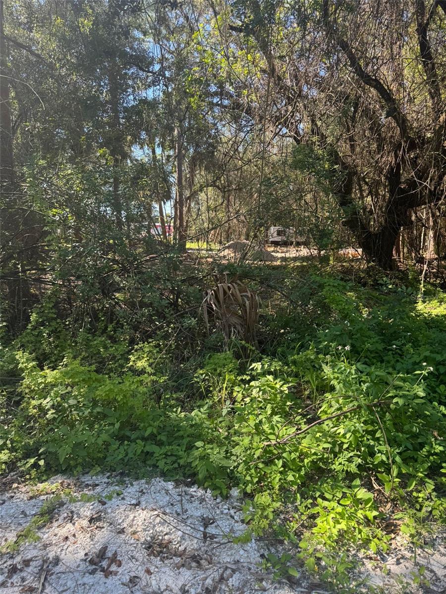 3145 NW 35TH DR, OKEECHOBEE, FL, 34972