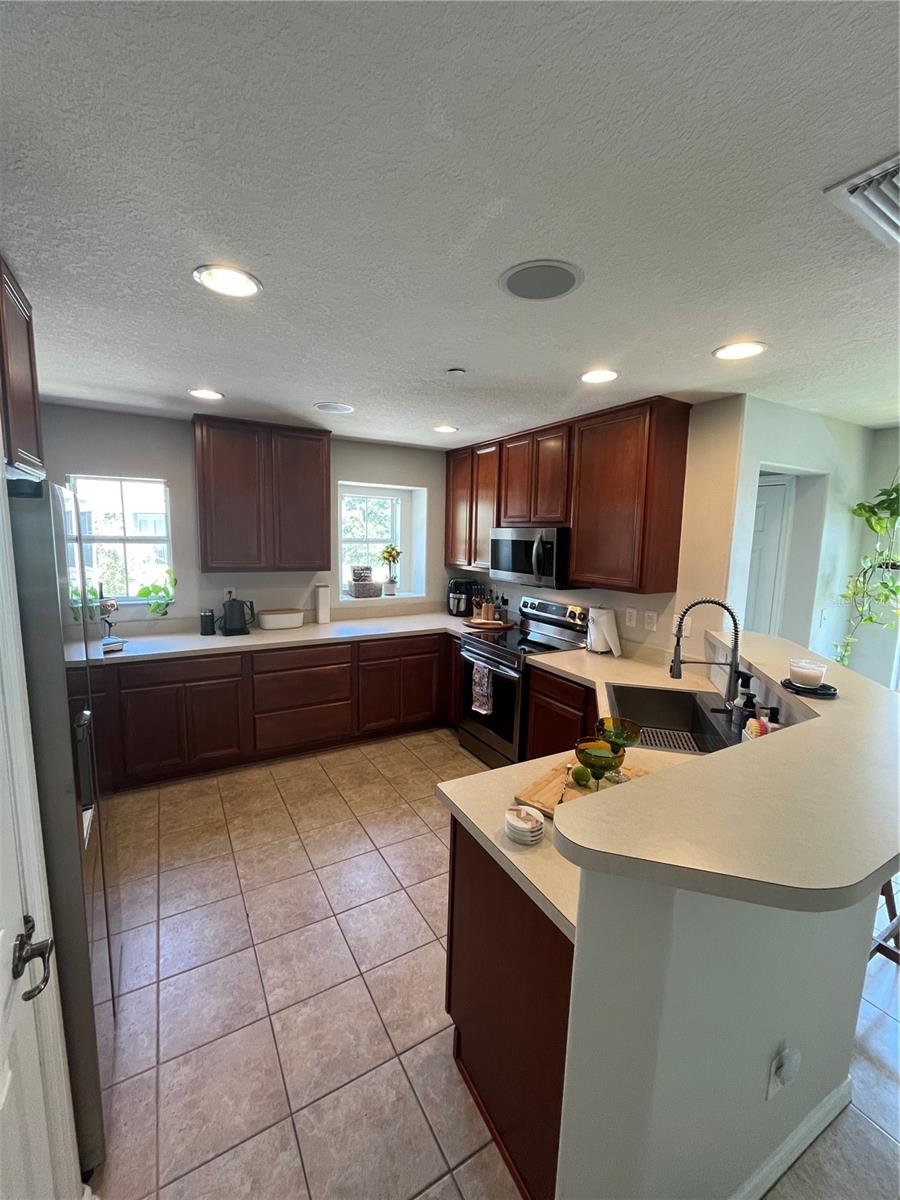 520 WHEATON TRENT PL, TAMPA, FL, 33619