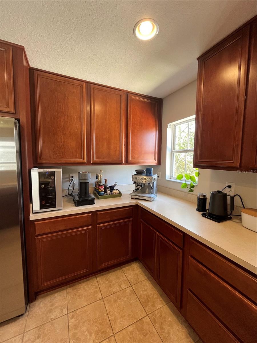 520 WHEATON TRENT PL, TAMPA, FL, 33619