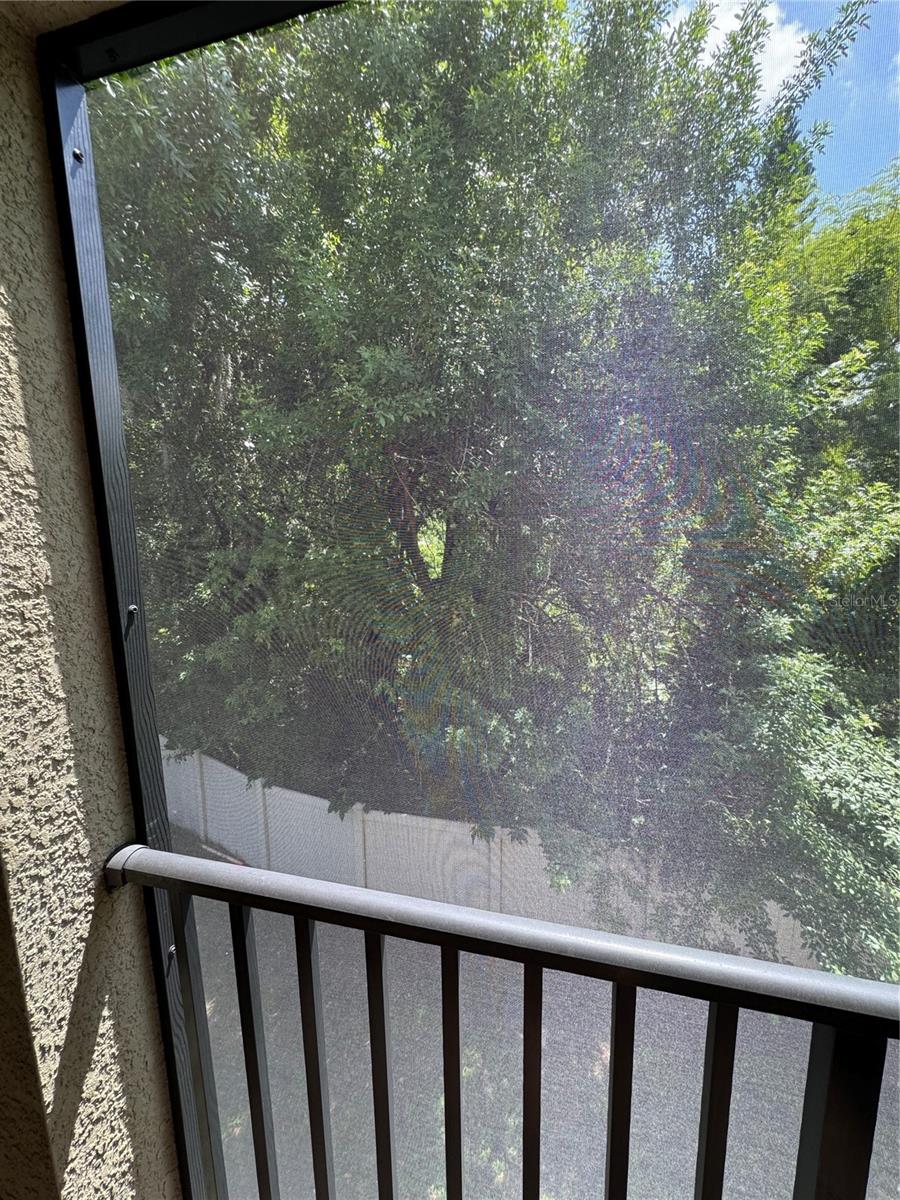 520 WHEATON TRENT PL, TAMPA, FL, 33619