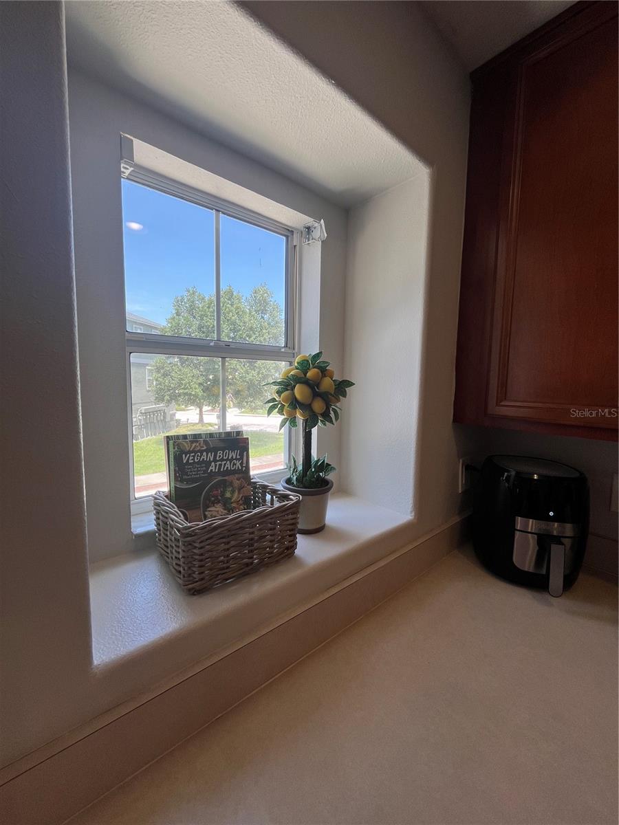 520 WHEATON TRENT PL, TAMPA, FL, 33619