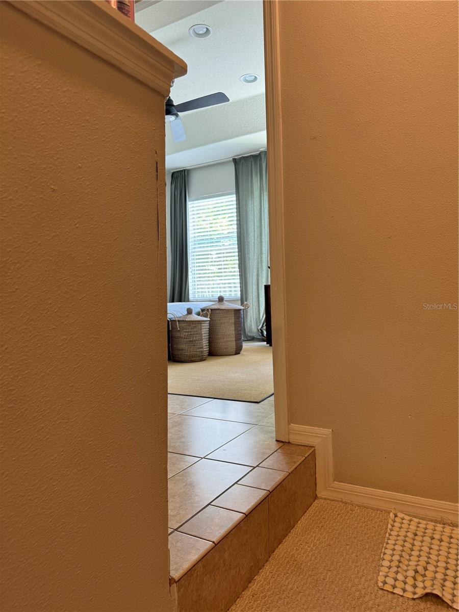 520 WHEATON TRENT PL, TAMPA, FL, 33619