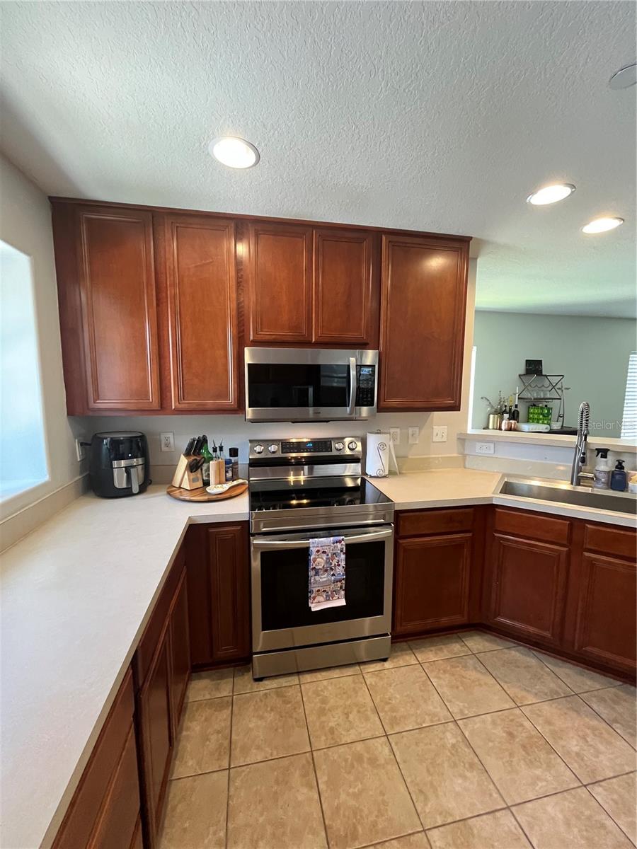 520 WHEATON TRENT PL, TAMPA, FL, 33619