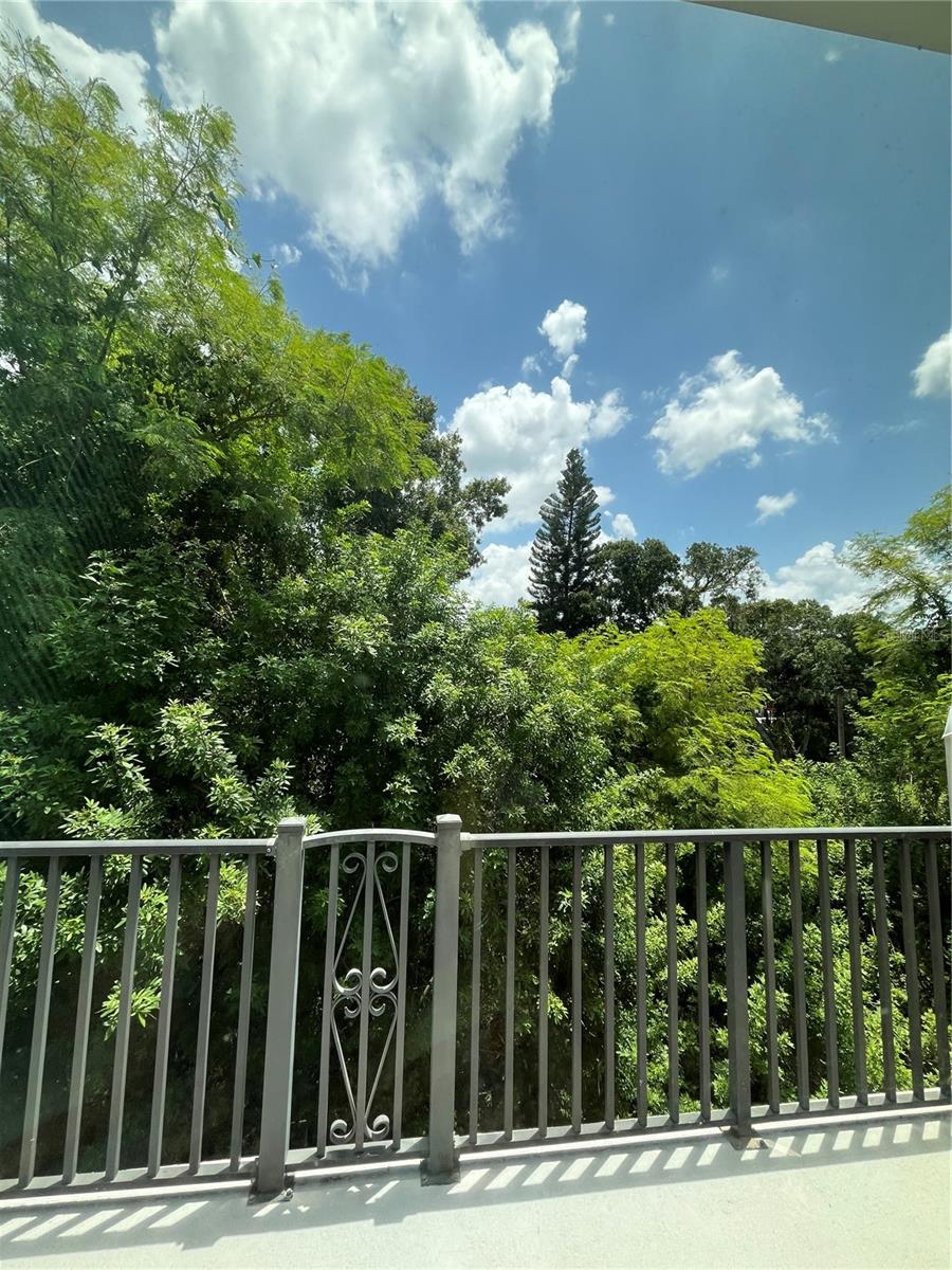 520 WHEATON TRENT PL, TAMPA, FL, 33619