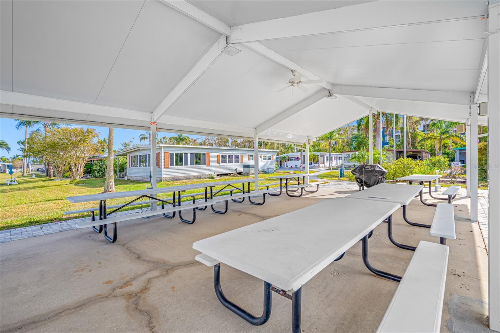 18675 US HIGHWAY 19 N #319, CLEARWATER, FL, 33764