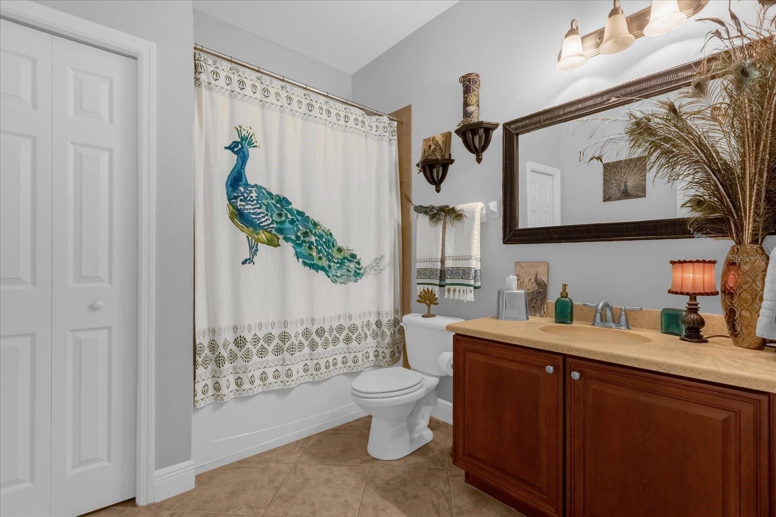 30230 TOKARA TER, MOUNT DORA, FL, 32757