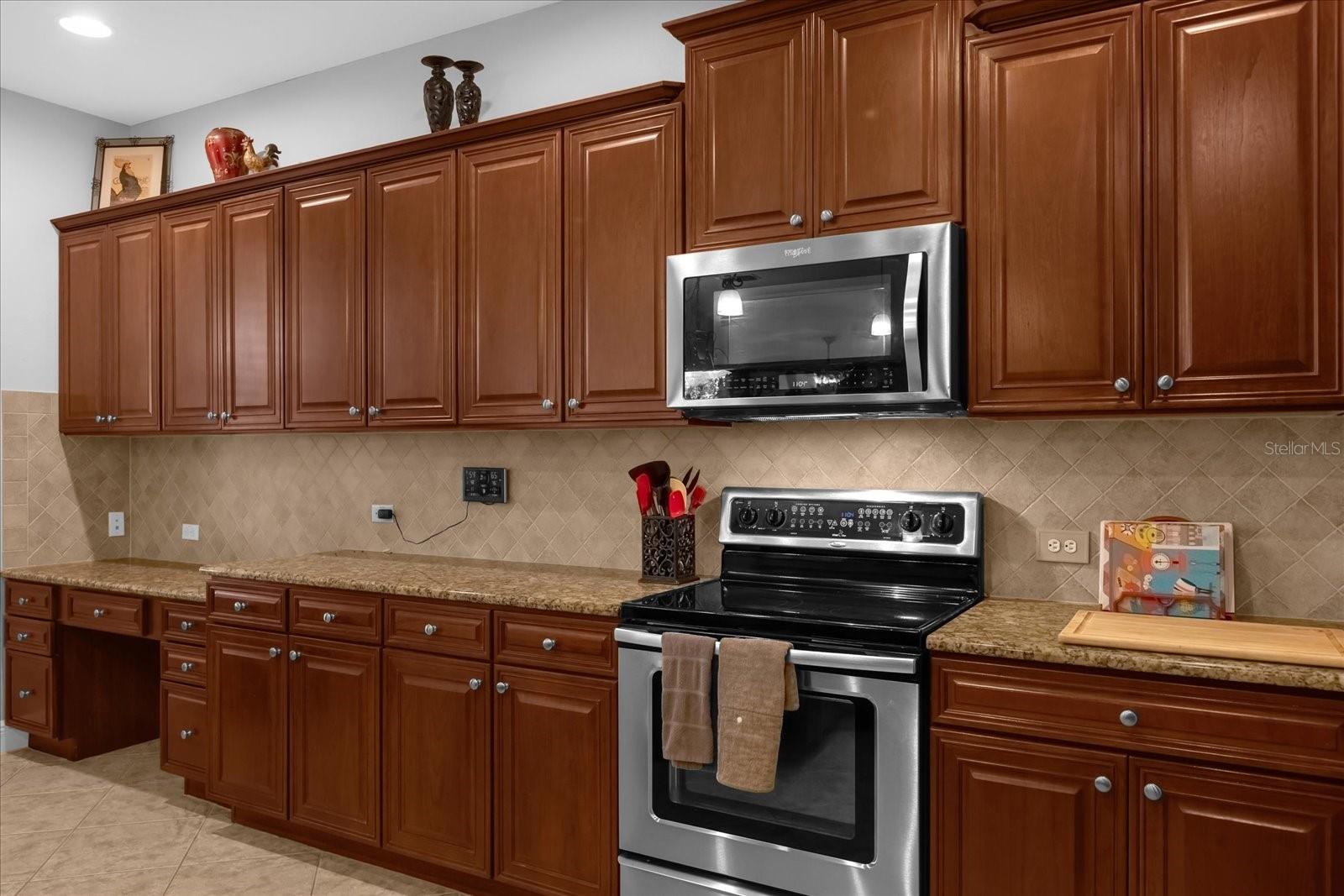 30230 TOKARA TER, MOUNT DORA, FL, 32757