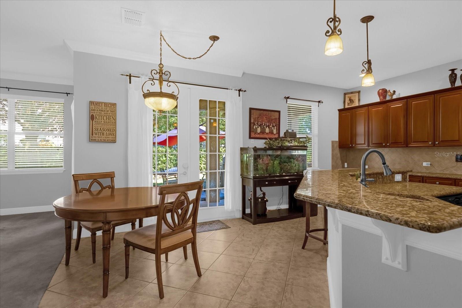 30230 TOKARA TER, MOUNT DORA, FL, 32757