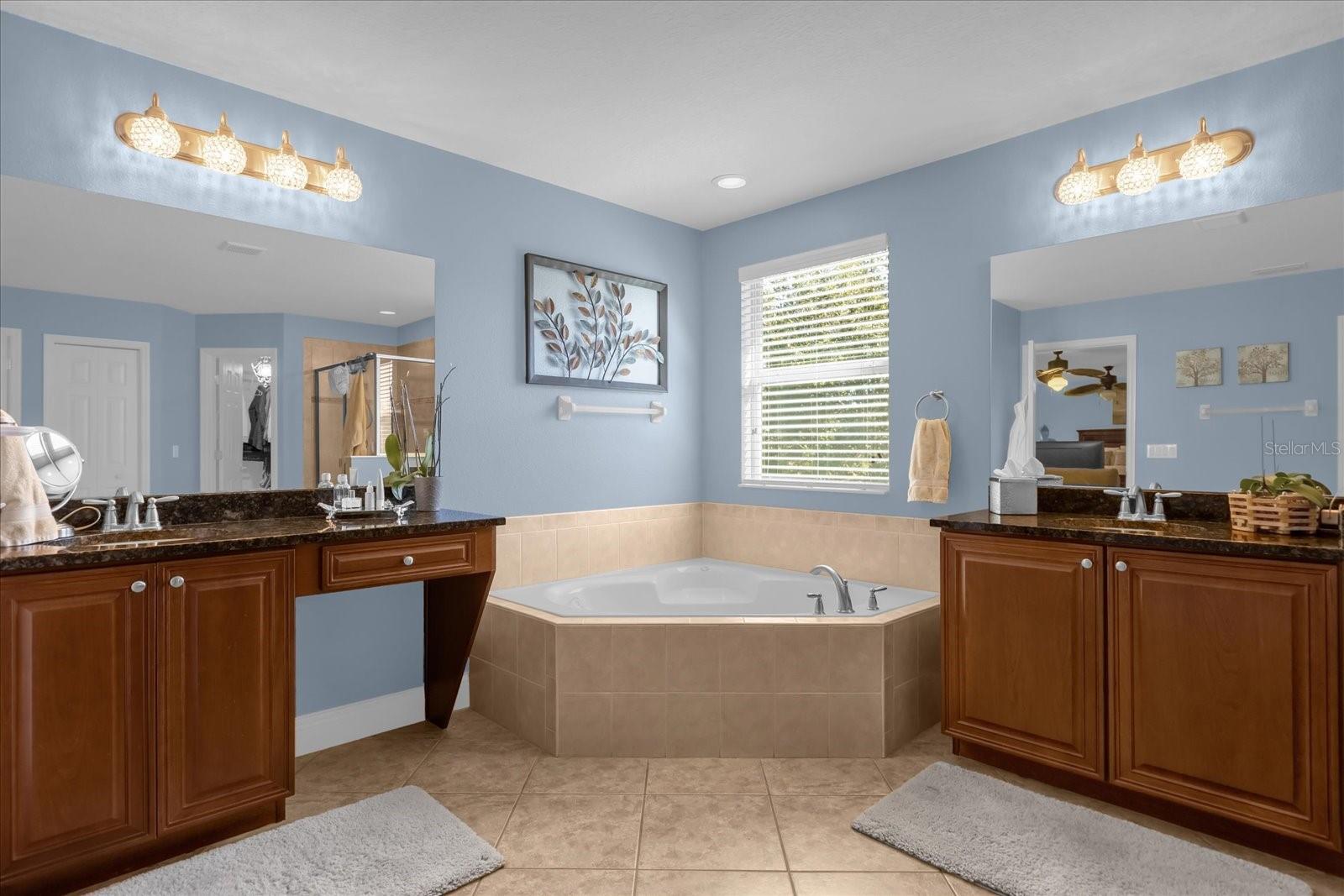 30230 TOKARA TER, MOUNT DORA, FL, 32757