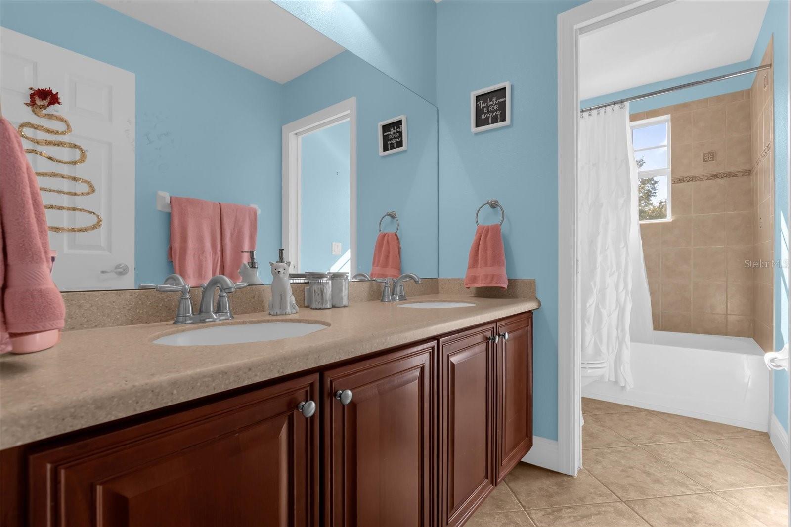 30230 TOKARA TER, MOUNT DORA, FL, 32757