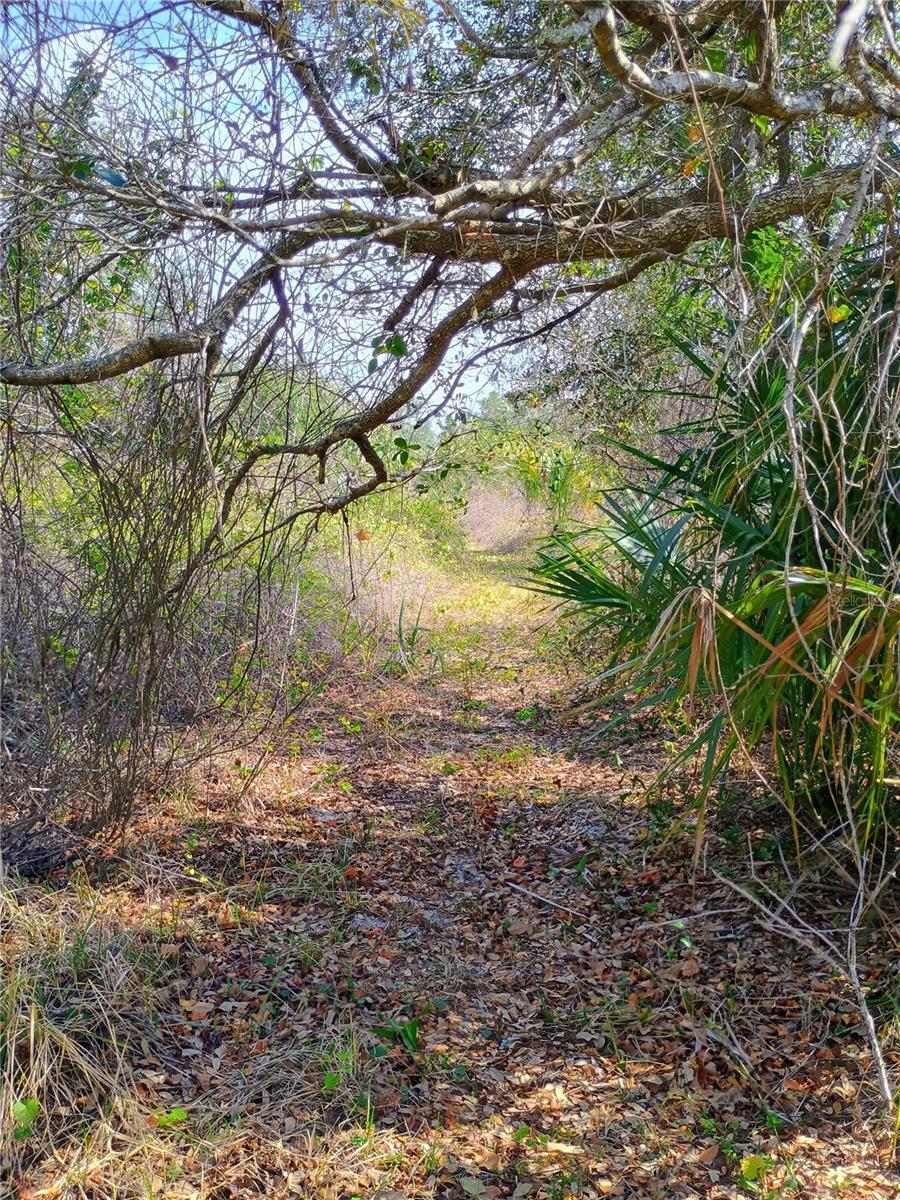 27097 AMSTERDAM DR, PUNTA GORDA, FL, 33983