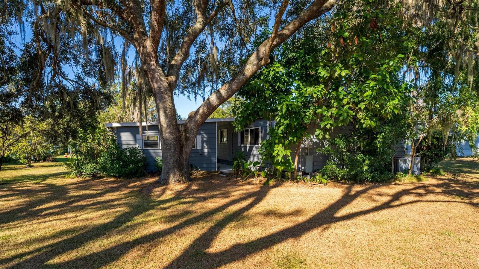 3 GROVE CT, WILDWOOD, FL, 34785