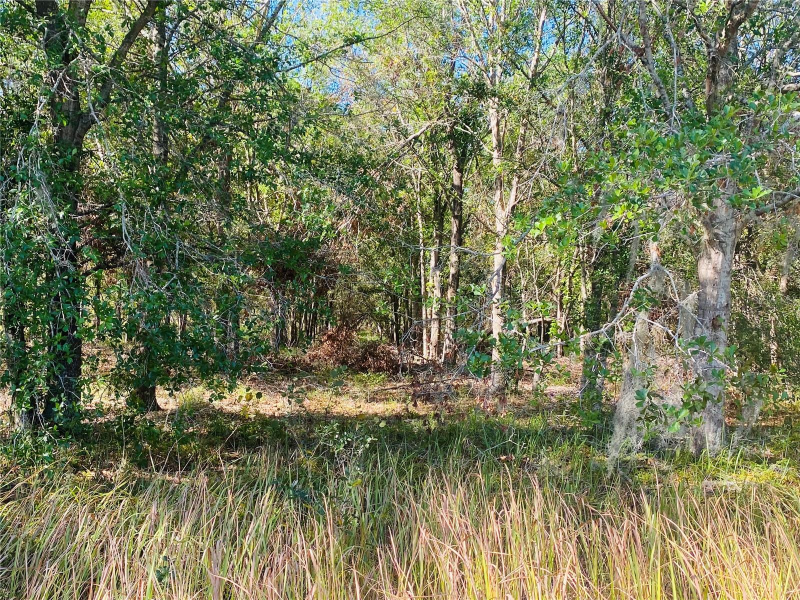 16211 ALDERMAN TURNER RD, WIMAUMA, FL, 33598