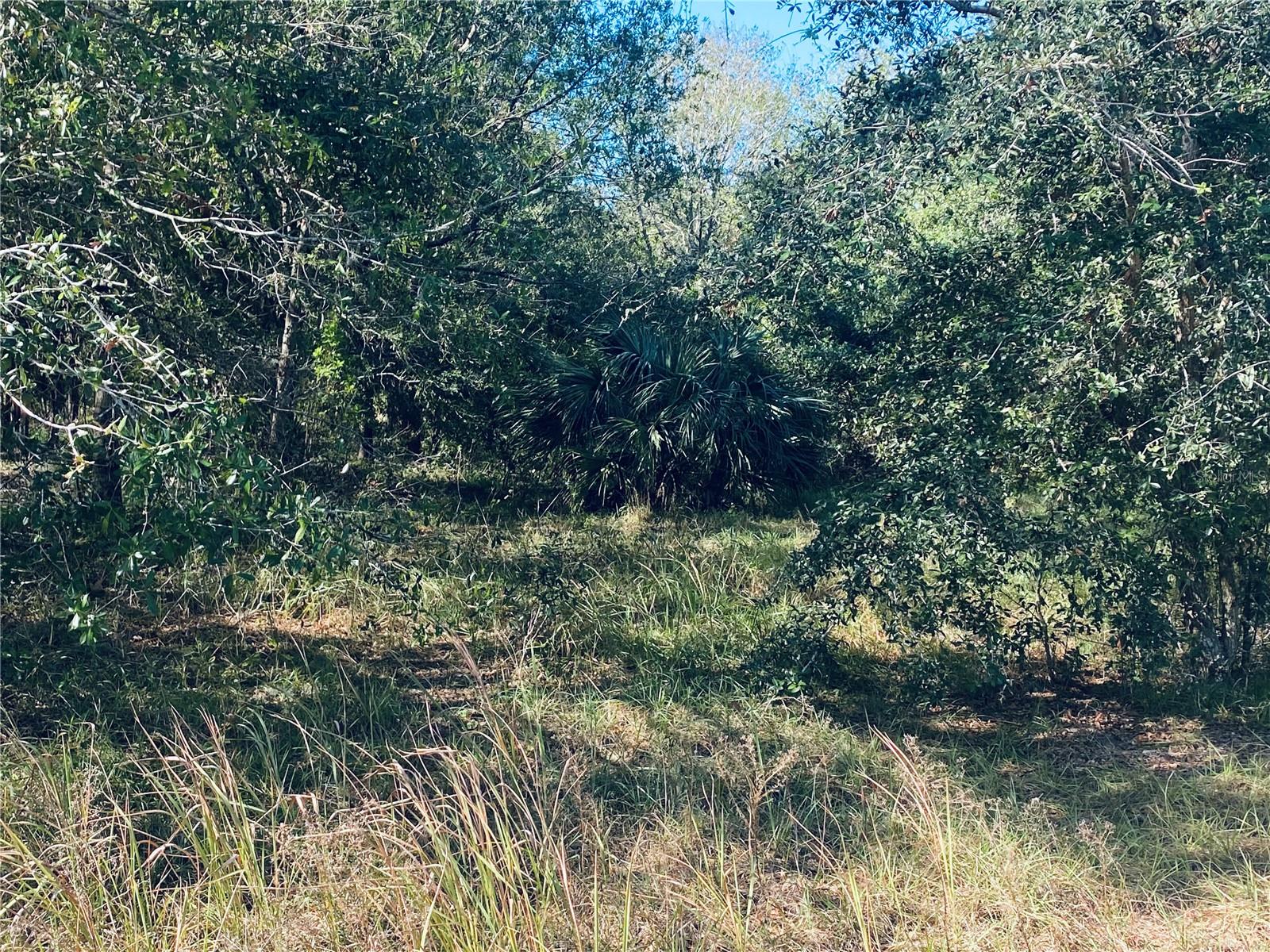 16211 ALDERMAN TURNER RD, WIMAUMA, FL, 33598