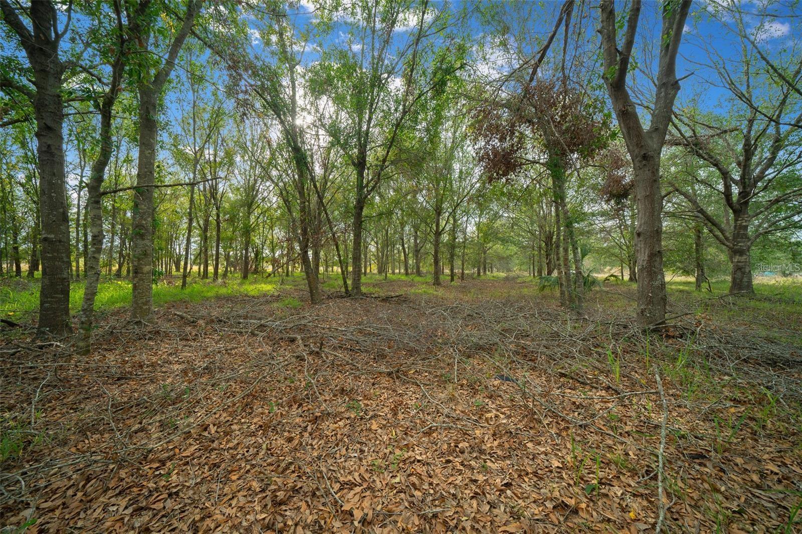 16211 ALDERMAN TURNER RD, WIMAUMA, FL, 33598