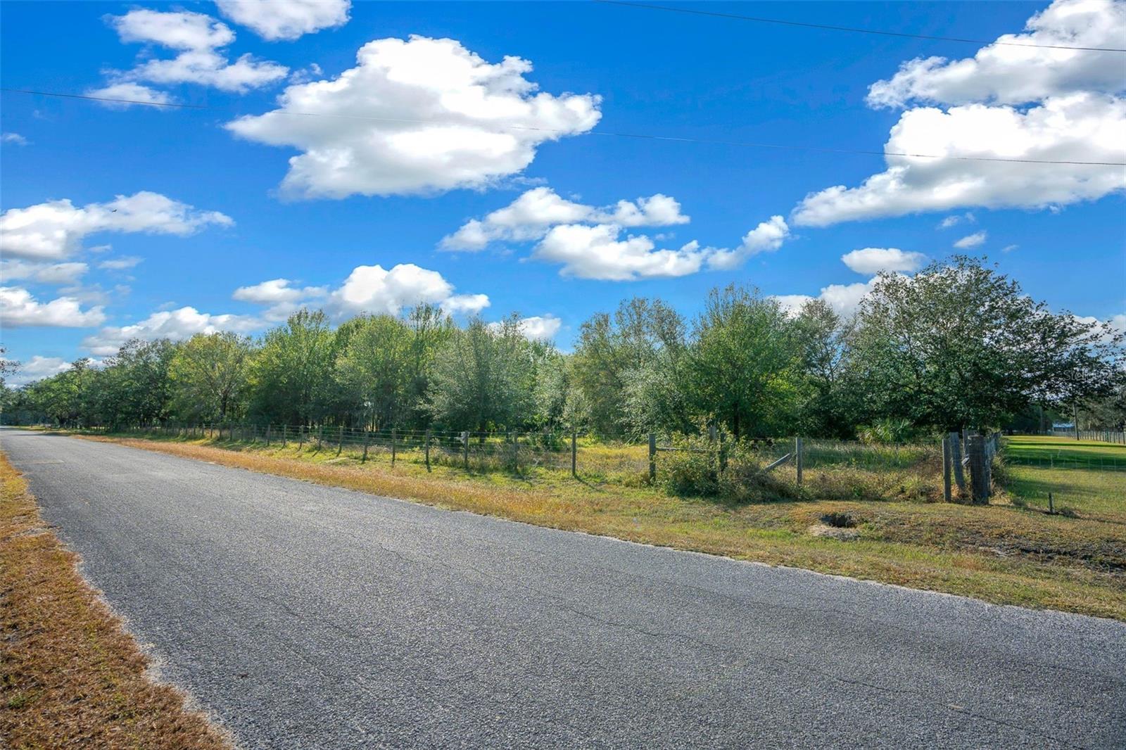 16211 ALDERMAN TURNER RD, WIMAUMA, FL, 33598