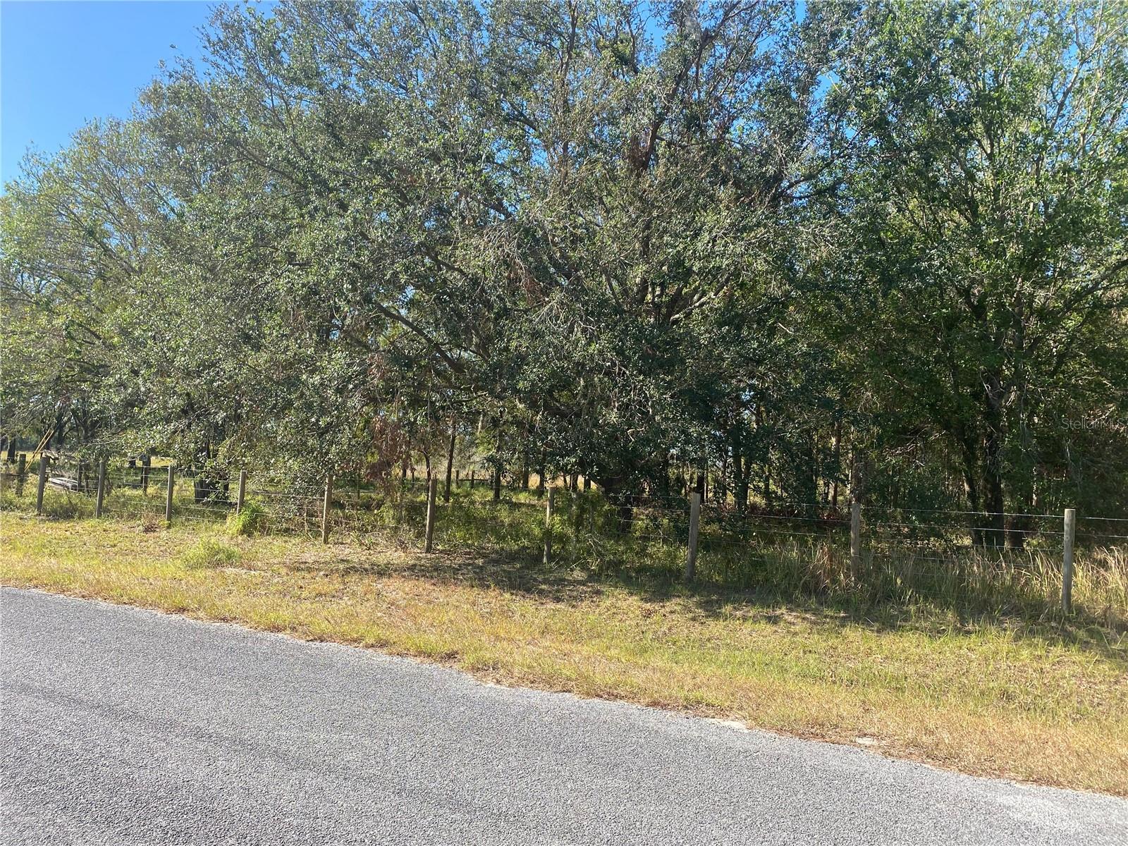 16211 ALDERMAN TURNER RD, WIMAUMA, FL, 33598