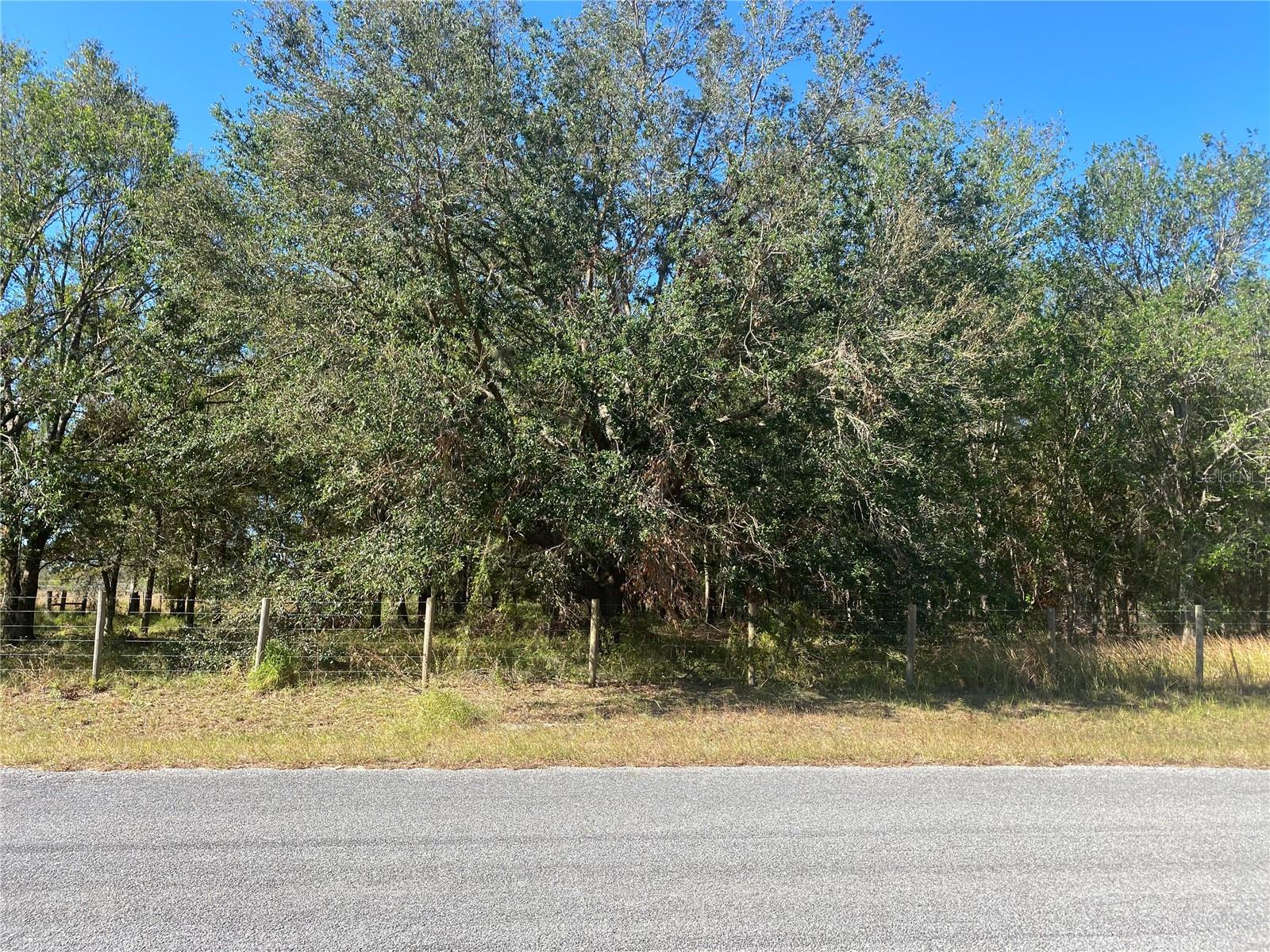 16211 ALDERMAN TURNER RD, WIMAUMA, FL, 33598
