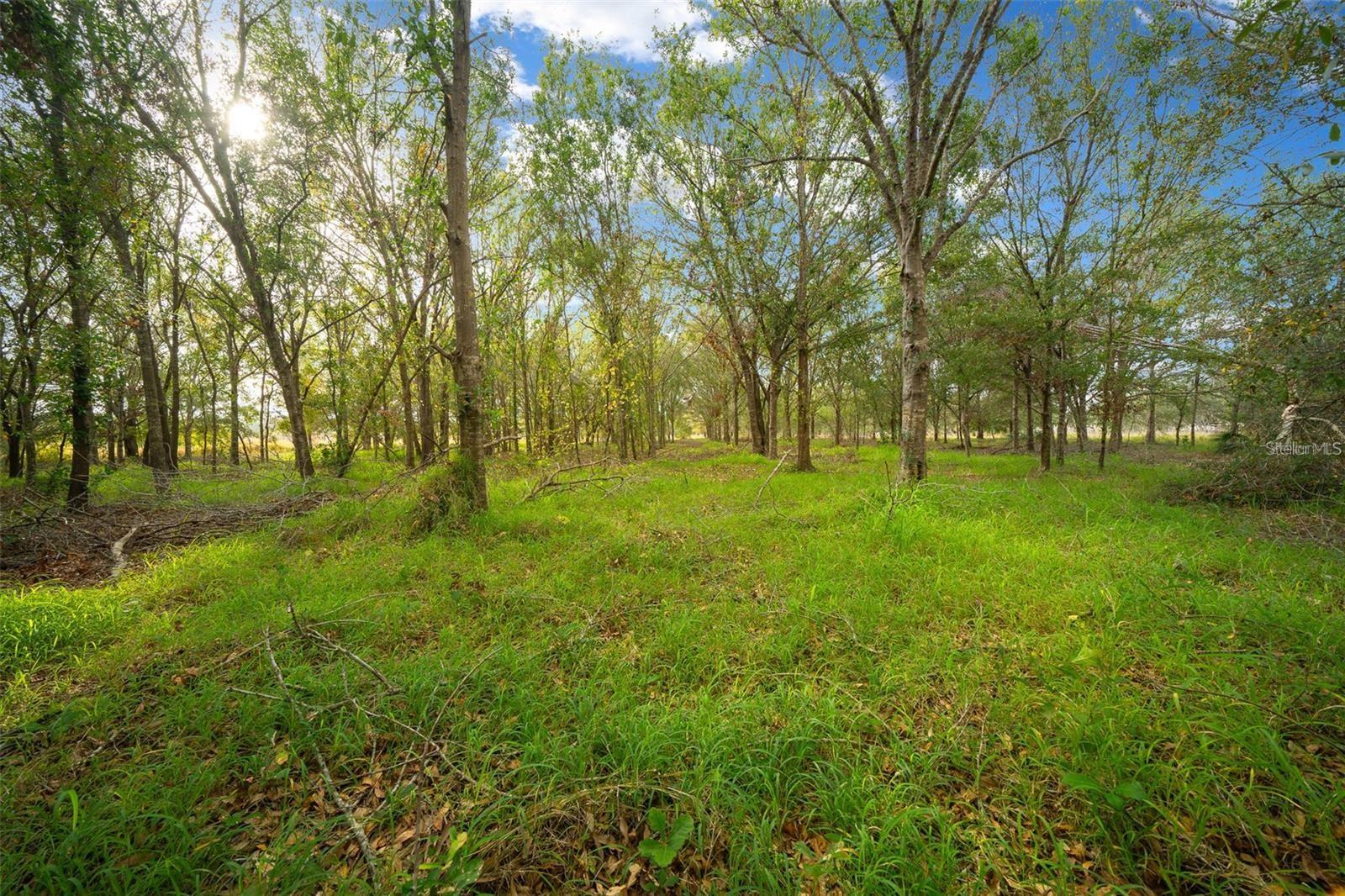 16211 ALDERMAN TURNER RD, WIMAUMA, FL, 33598
