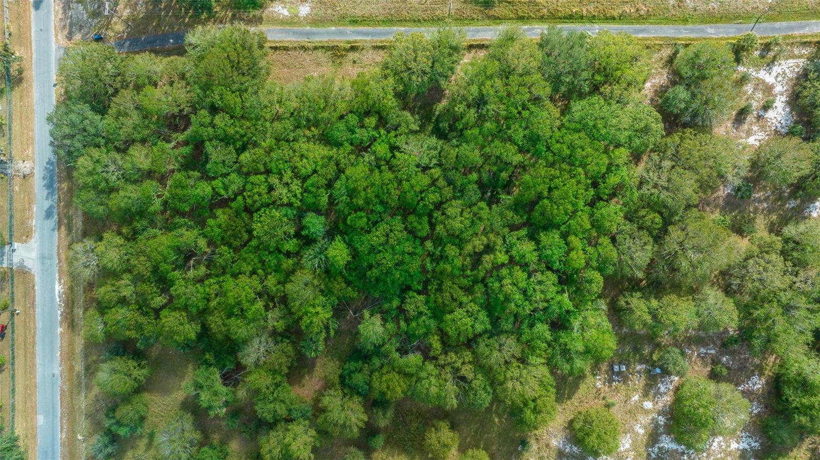16211 ALDERMAN TURNER RD, WIMAUMA, FL, 33598