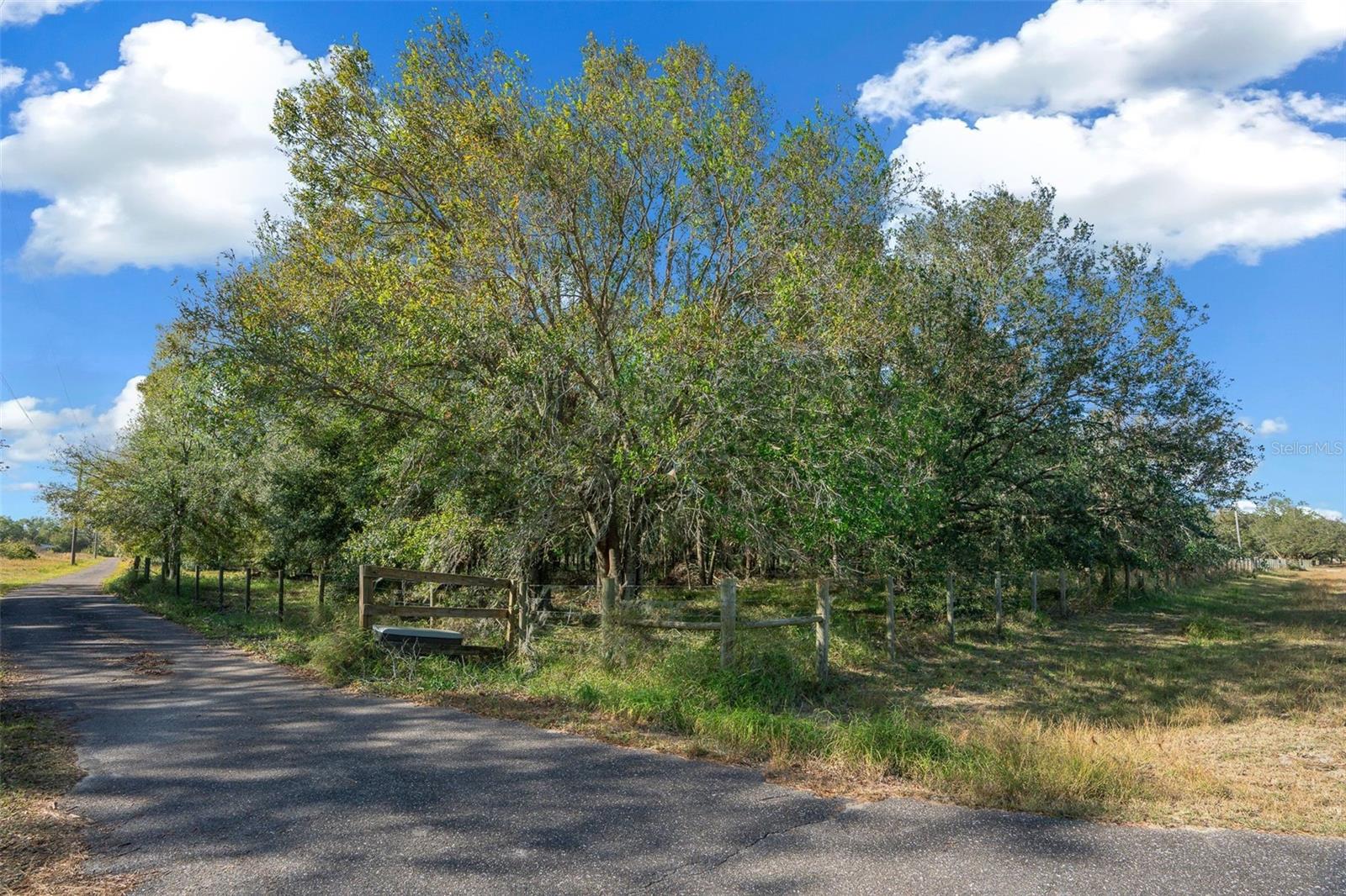 16211 ALDERMAN TURNER RD, WIMAUMA, FL, 33598