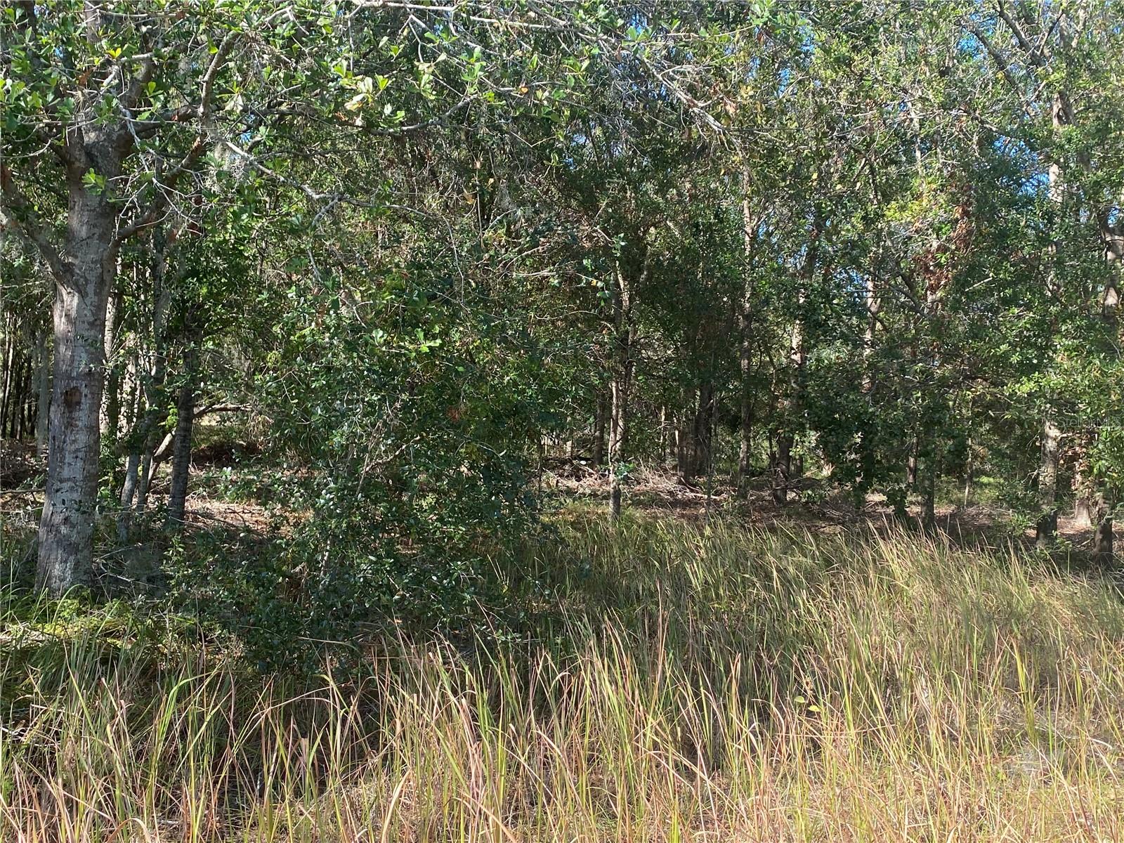 16211 ALDERMAN TURNER RD, WIMAUMA, FL, 33598