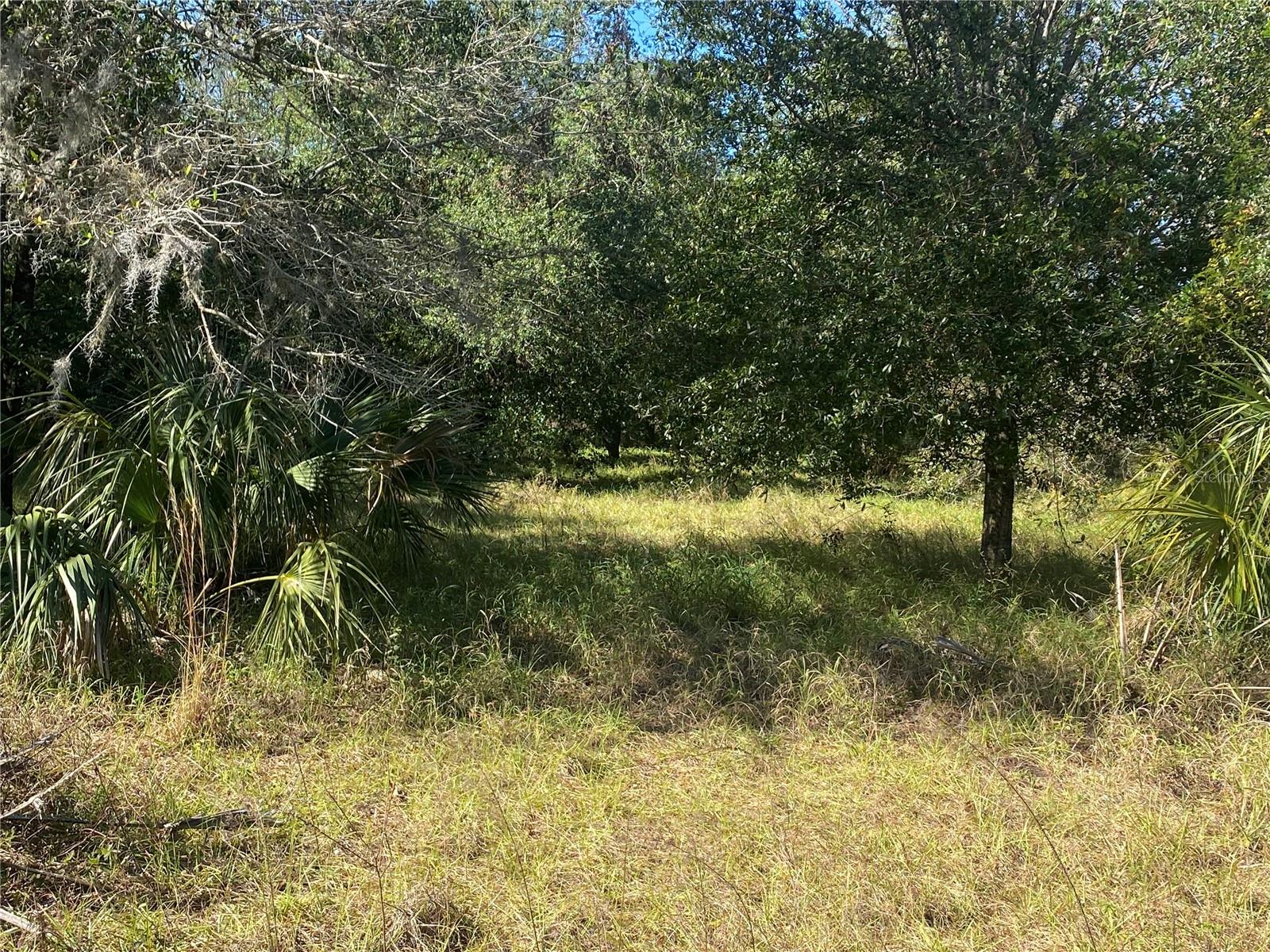 16211 ALDERMAN TURNER RD, WIMAUMA, FL, 33598