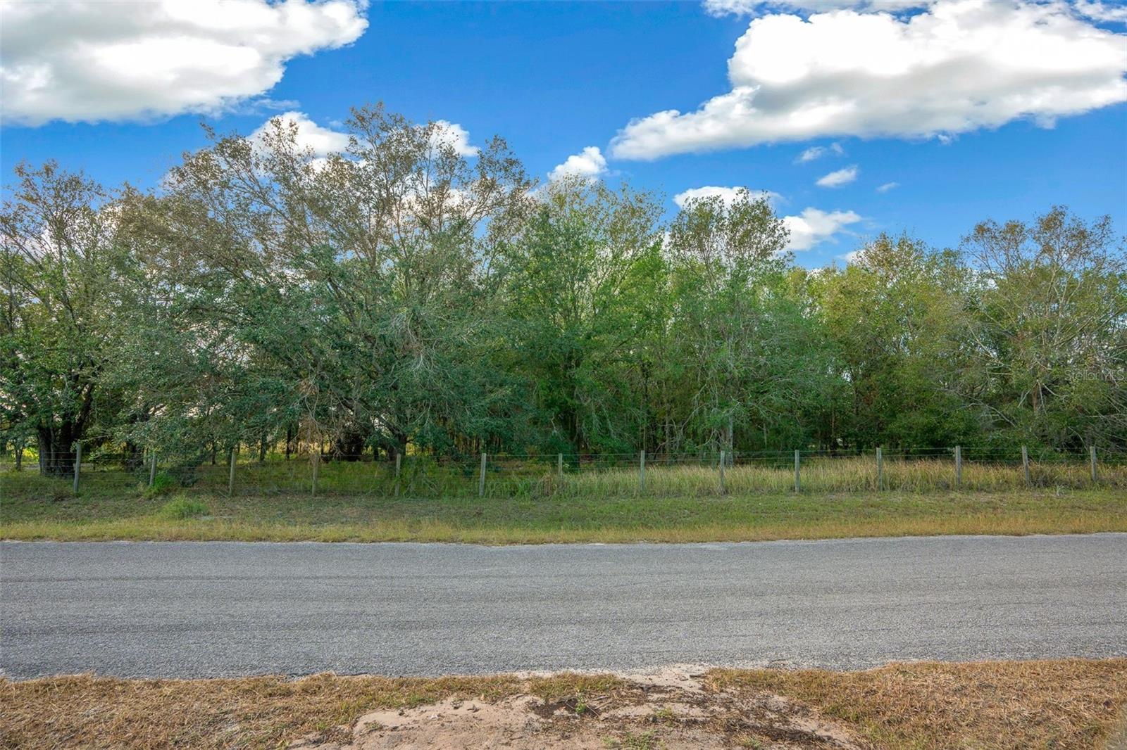 16211 ALDERMAN TURNER RD, WIMAUMA, FL, 33598