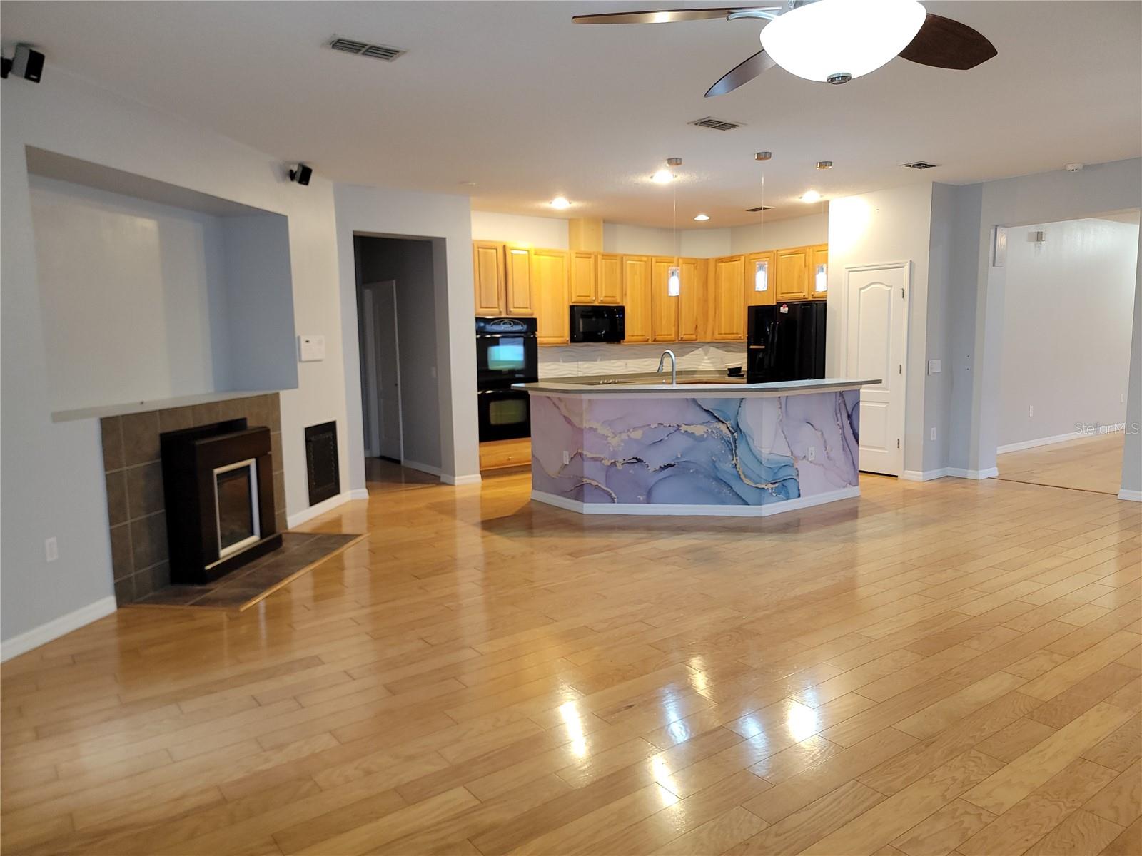 4501 ROSS LANIER LN, KISSIMMEE, FL, 34758