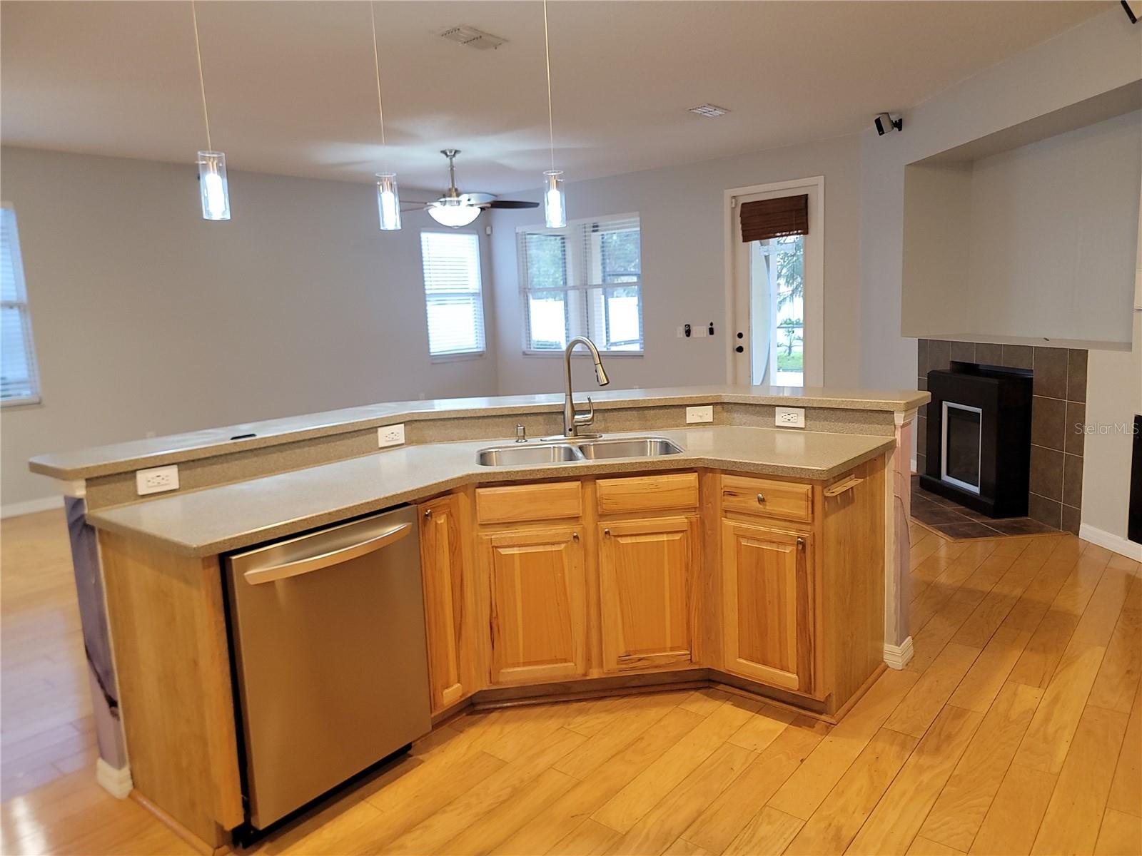 4501 ROSS LANIER LN, KISSIMMEE, FL, 34758