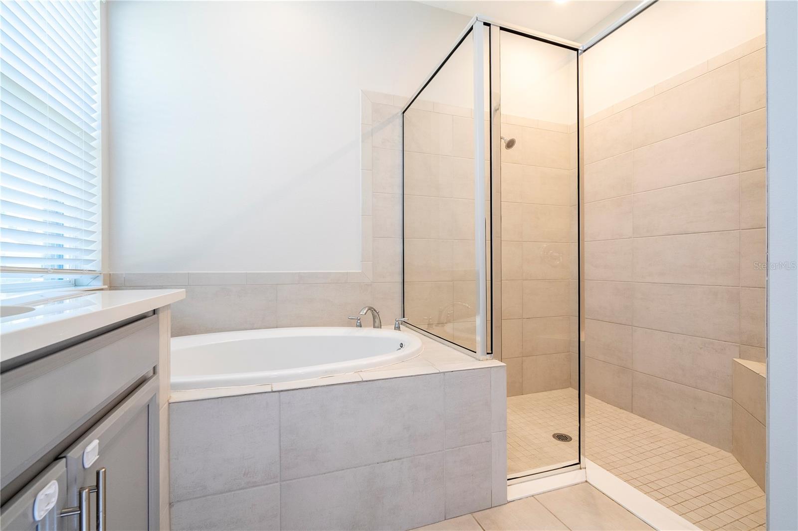 1541 GOBLET COVE ST, KISSIMMEE, FL, 34746