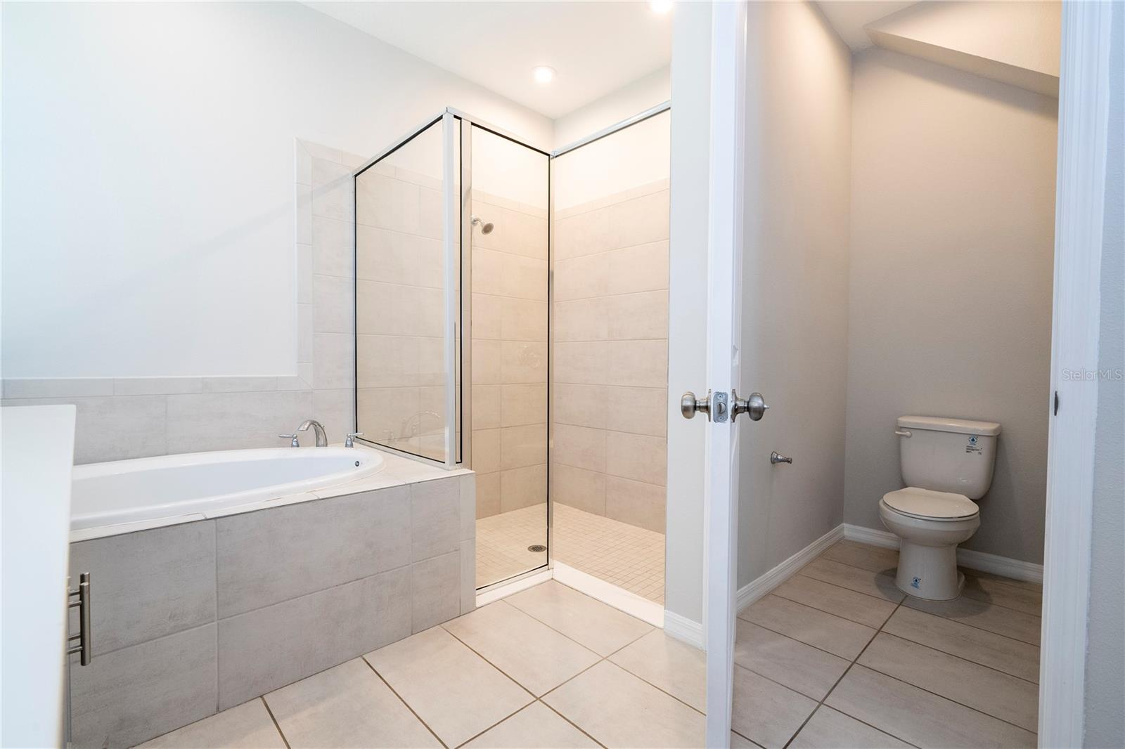 1541 GOBLET COVE ST, KISSIMMEE, FL, 34746