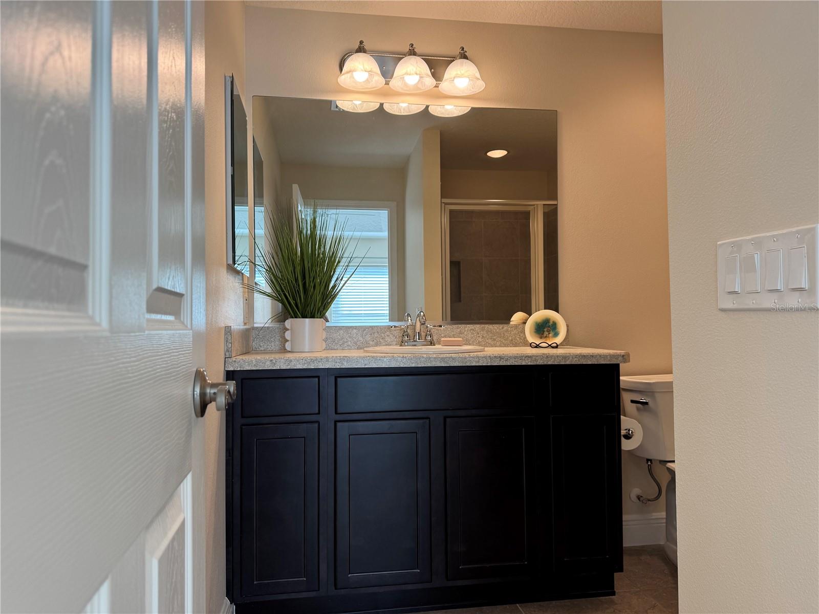728 YAGER LN, THE VILLAGES, FL, 32163