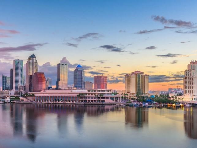 32050 EASTERN REDBUD BR, SAN ANTONIO, FL, 33576