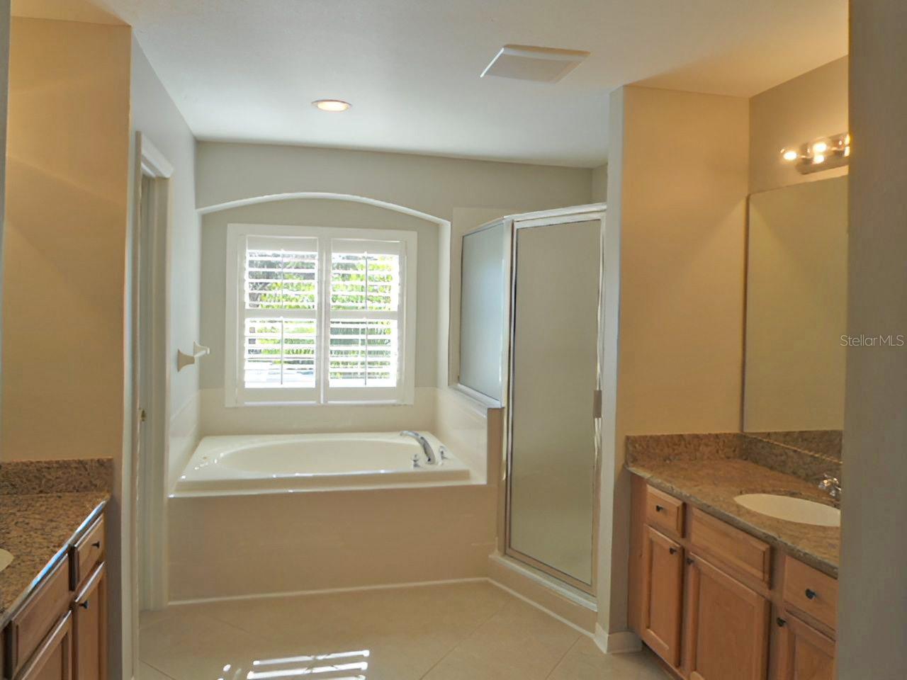 9432 BLACK THORN LOOP, LAND O LAKES, FL, 34638