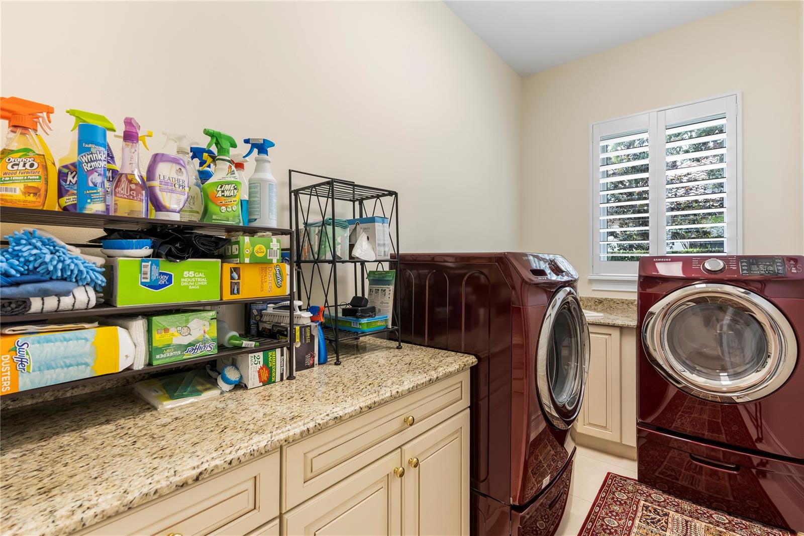 2009 CASTELLI BLVD, MOUNT DORA, FL, 32757