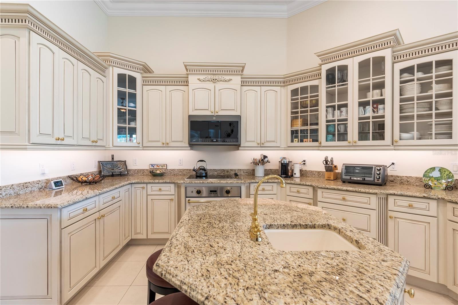 2009 CASTELLI BLVD, MOUNT DORA, FL, 32757