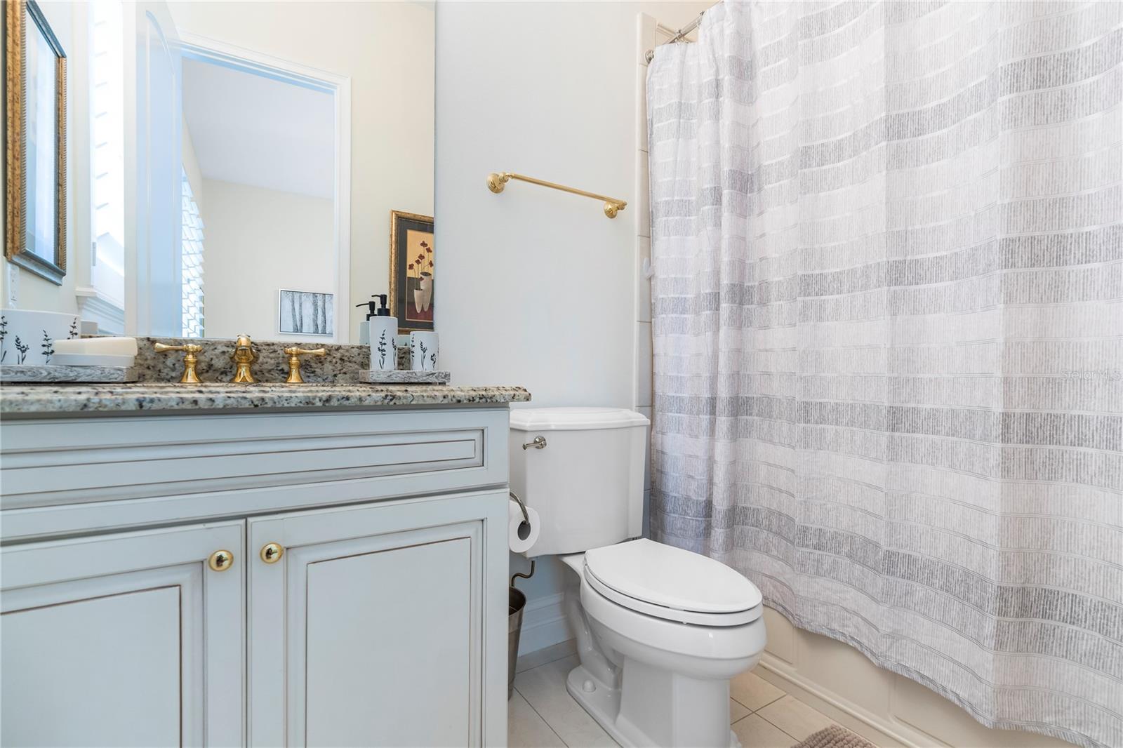 2009 CASTELLI BLVD, MOUNT DORA, FL, 32757